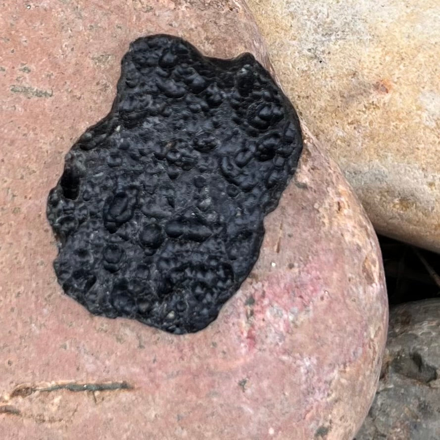 Tektite Specimen