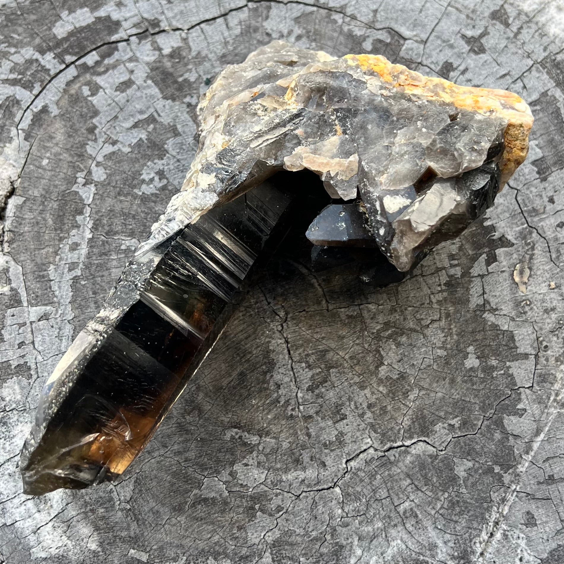 Natural Smoky Lemurian Quartz Cluster