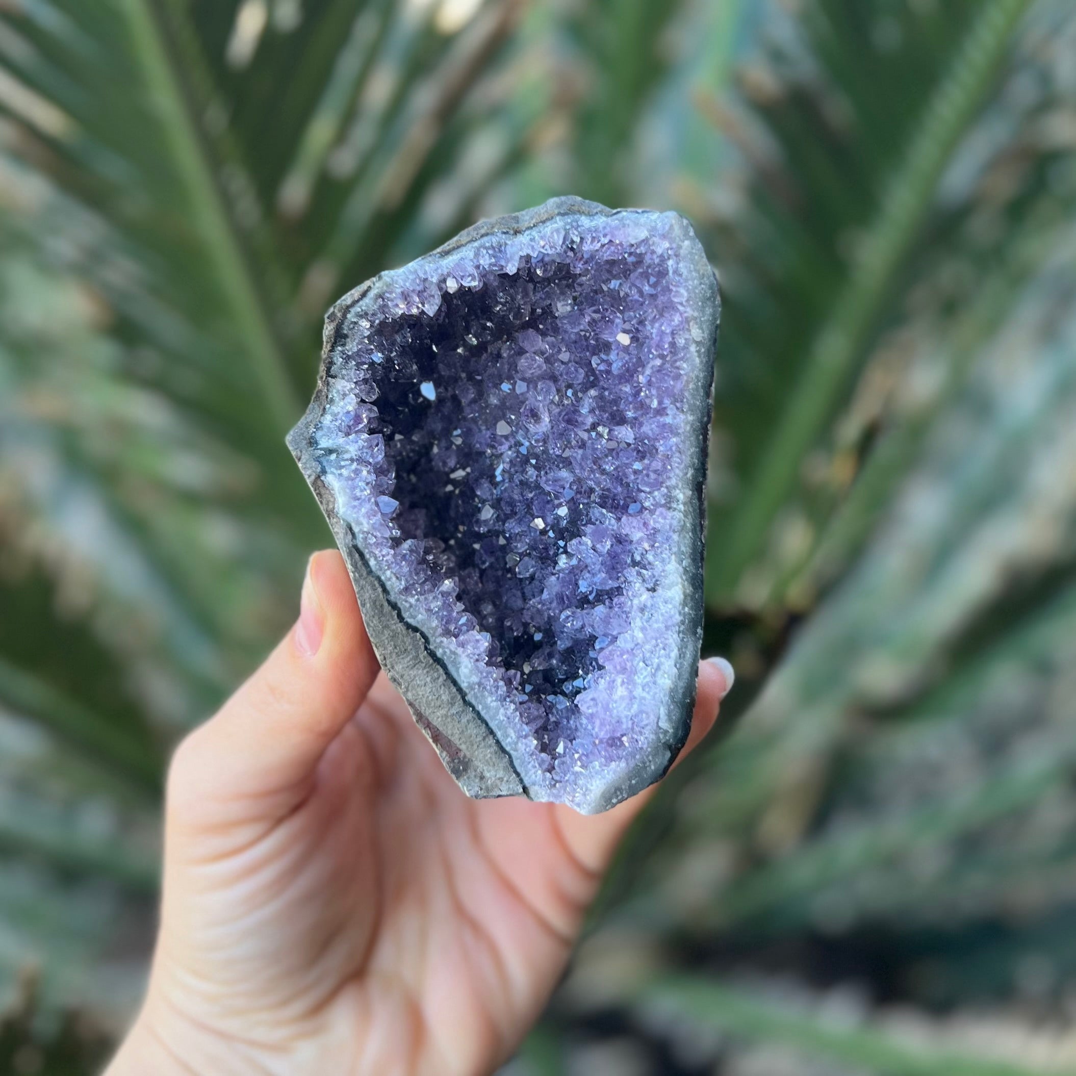 Amethyst Standing Cluster