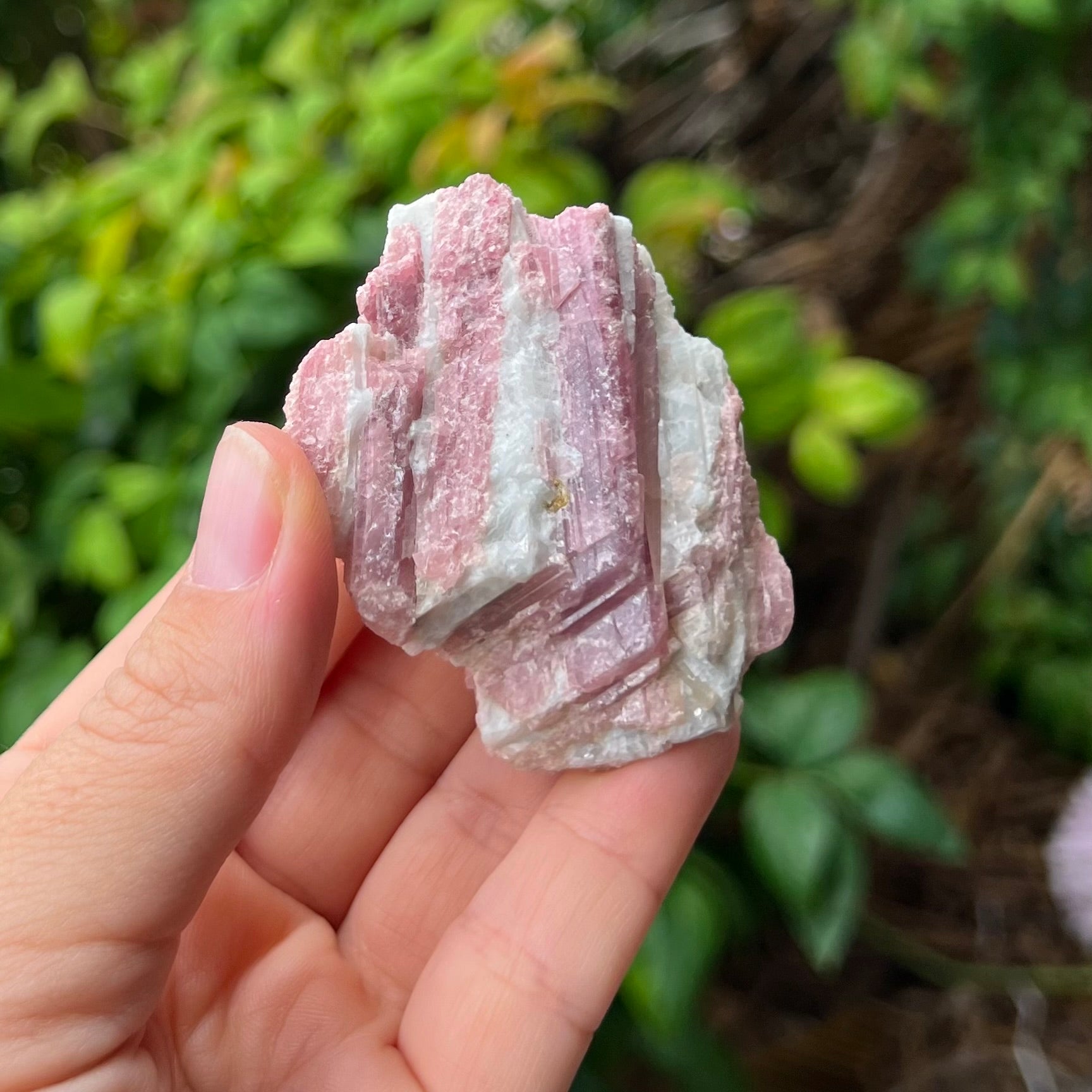 Raw Pink Tourmaline ~ Specialty Crystal