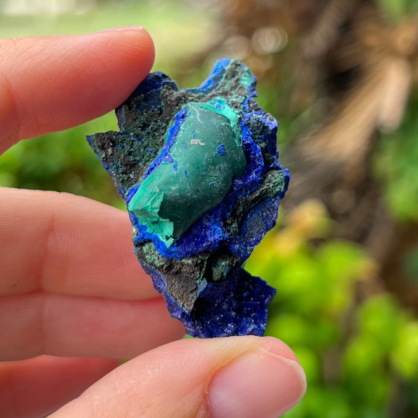 Azurite / Malachite ~ Specialty Crystal