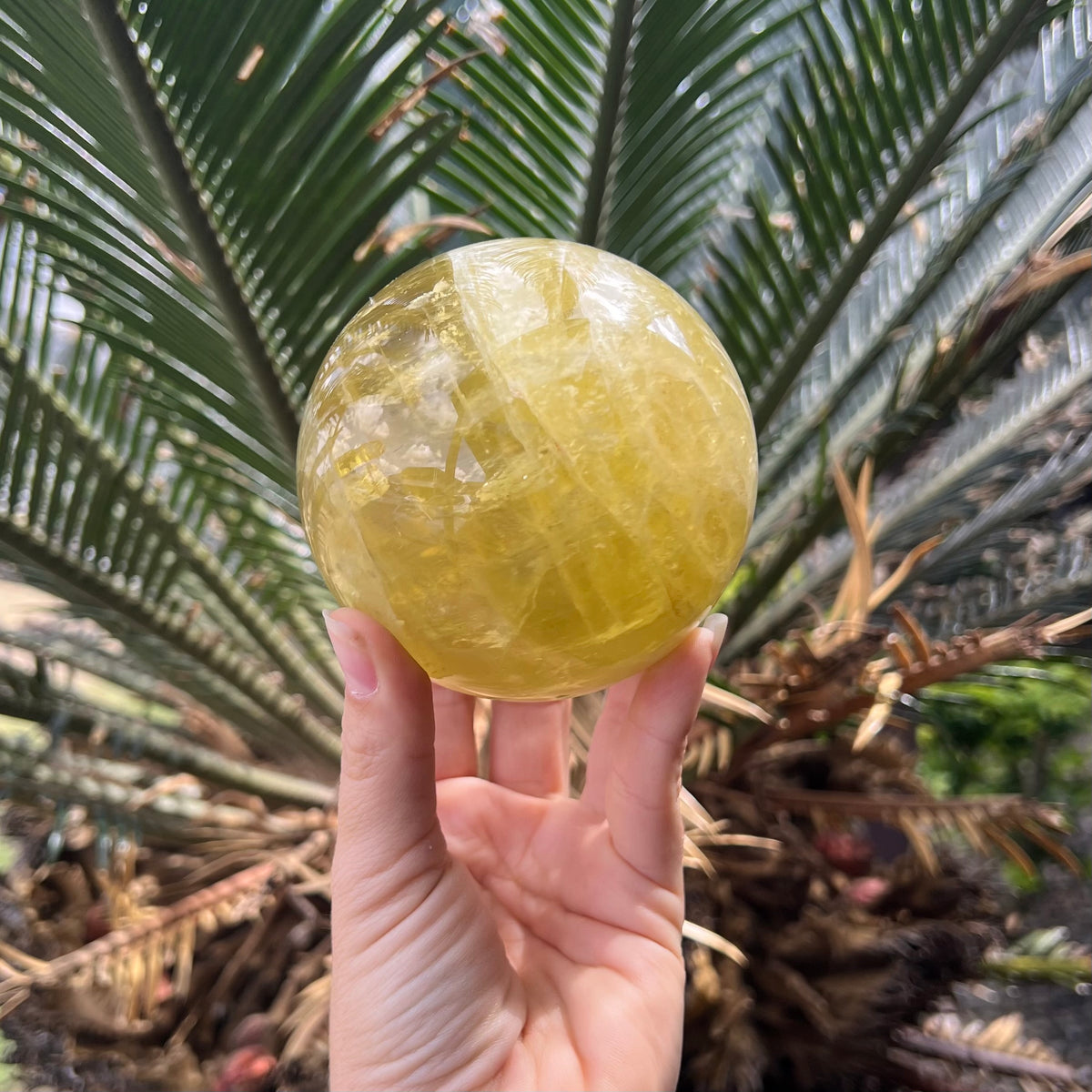 Citrine Abundance & Joy Large Sphere