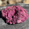 Glorious Ruby with Pyrite Specimen