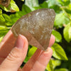 Citrine Diamond Cut ~ Specialty Crystal