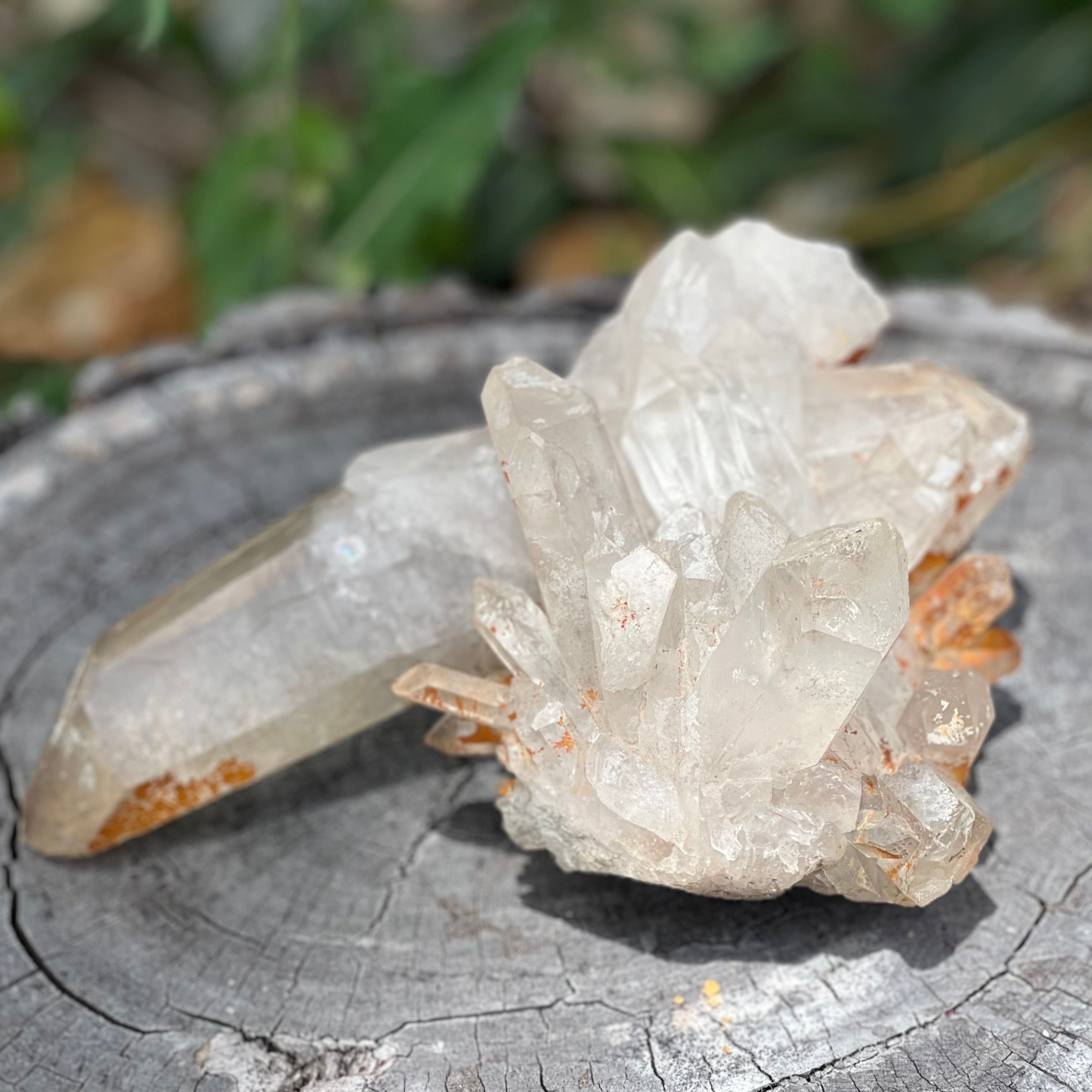 Raw Clear Quartz Natural Cluster of Points