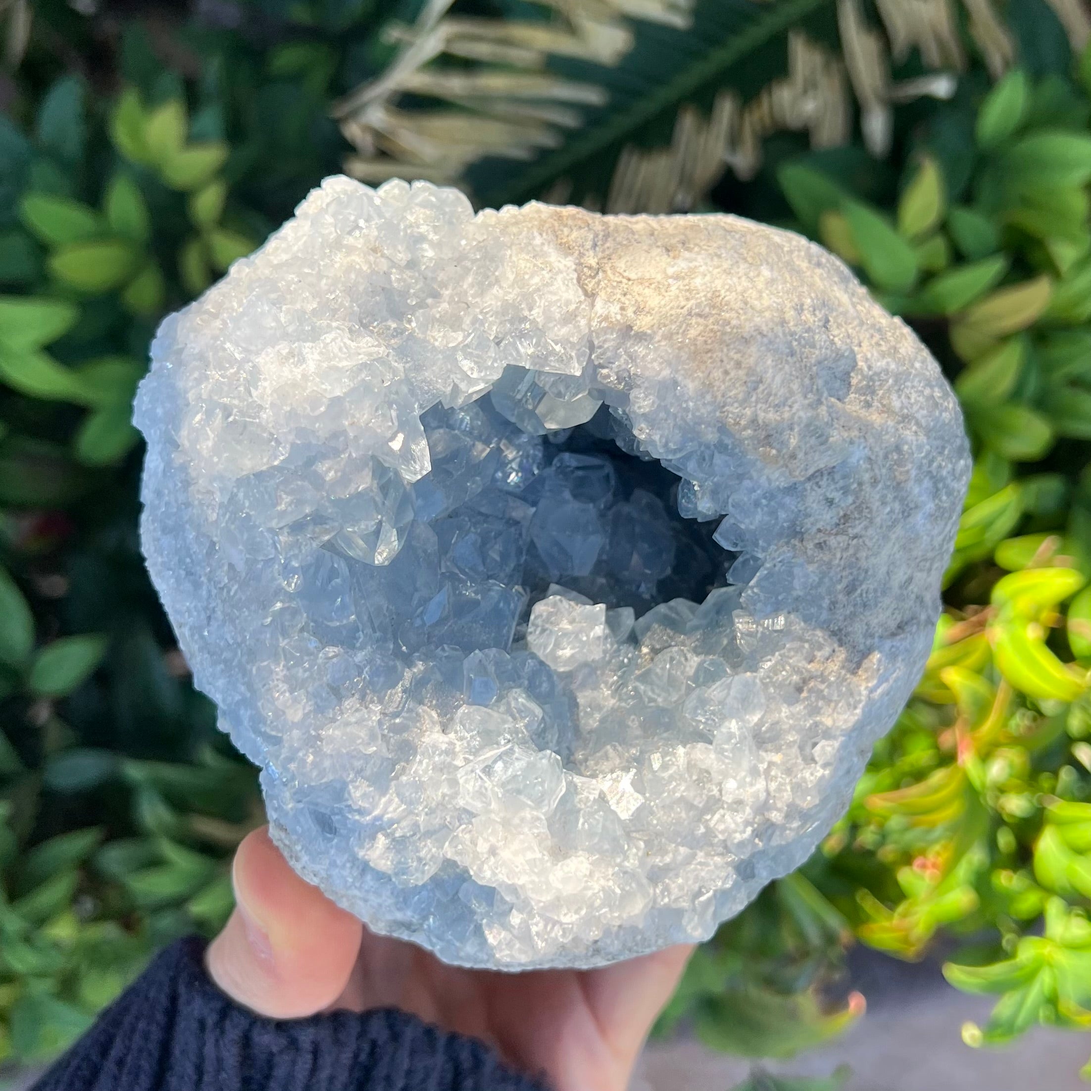 Stunning Celestite Geode