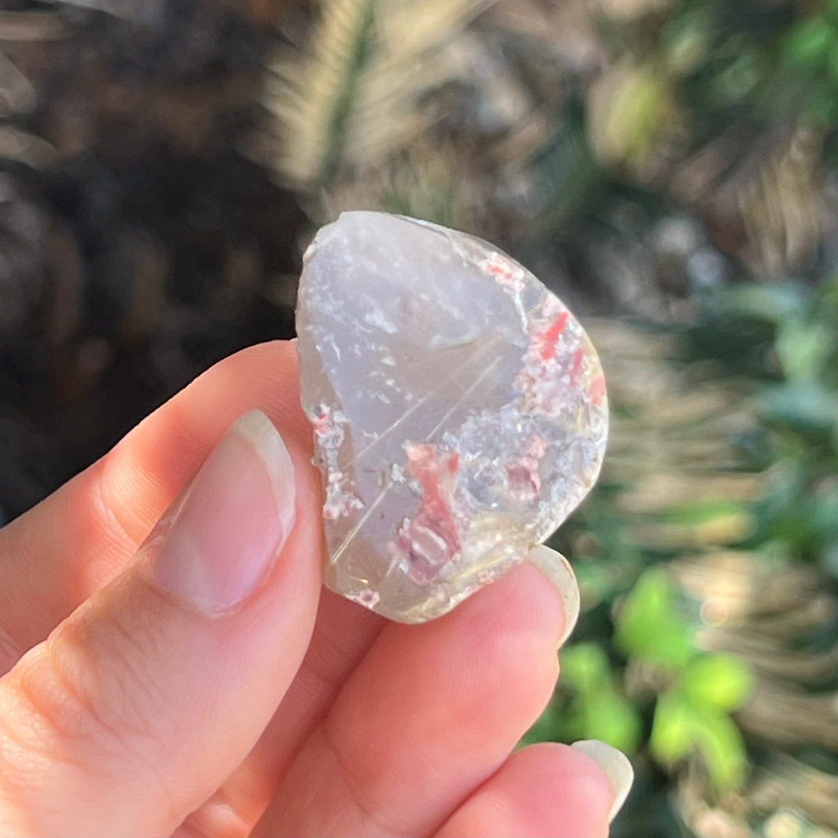 Rutilated Quartz ~ Specialty Boxed Crystal