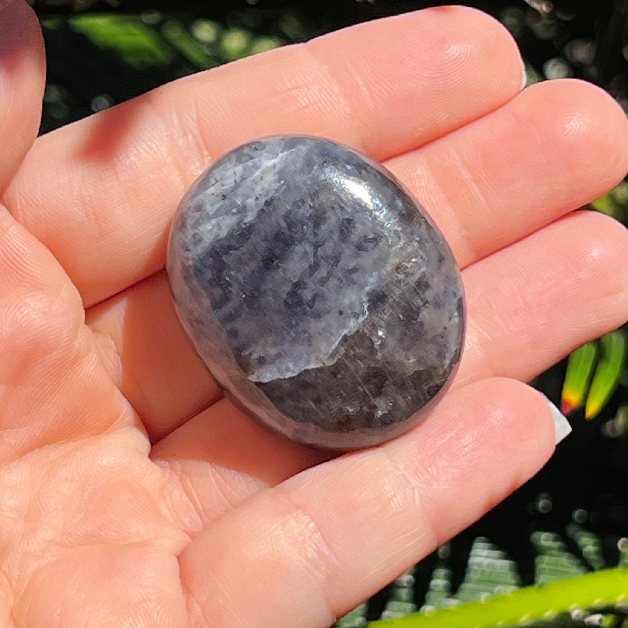 Iolite Palm Stone ~ 1