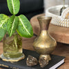 Boho Jungle ~ Vintage Brass Decor