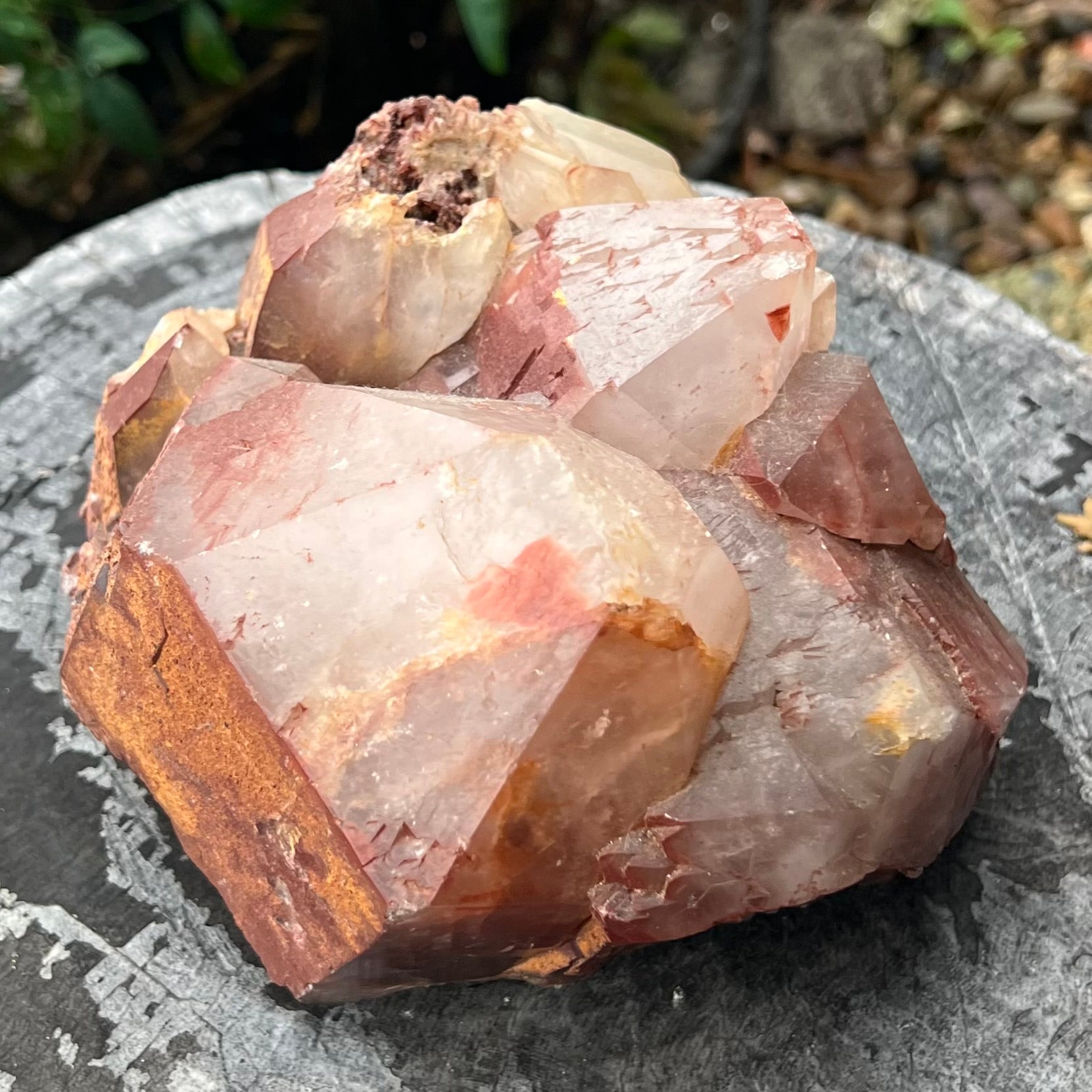 SALE ~ Red Amethyst Cluster