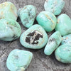 Chrysophase Tumble Stone