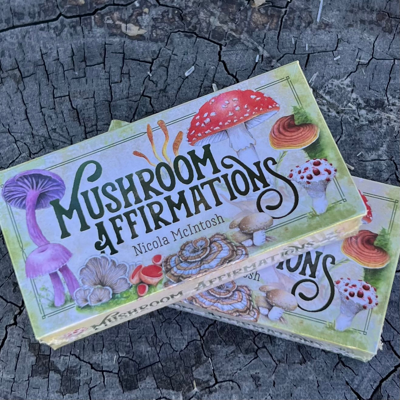 Mushroom Affirmations Oracle