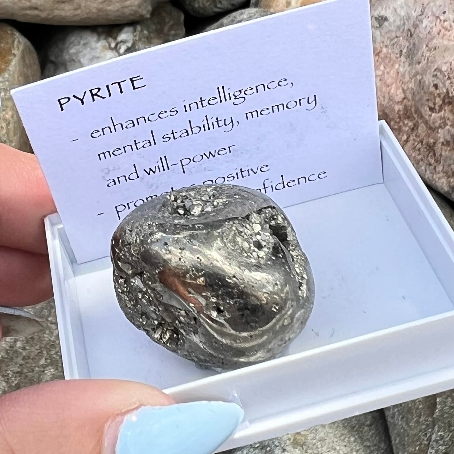 Pyrite Specimen ~ Specialty Boxed Crystal