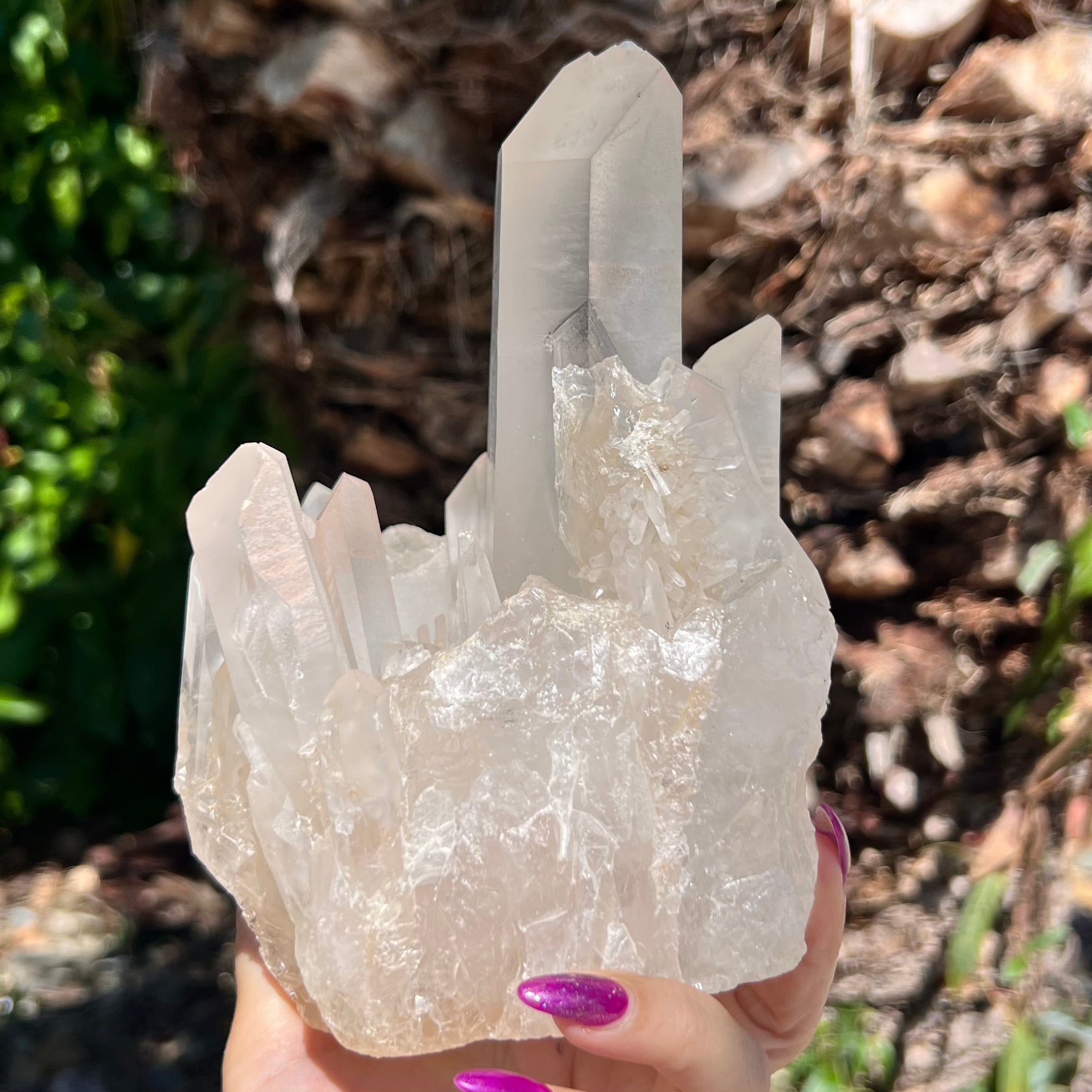 Raw Clear Quartz Natural Cluster of Points