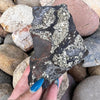 Pyrite in Shungite Specimen