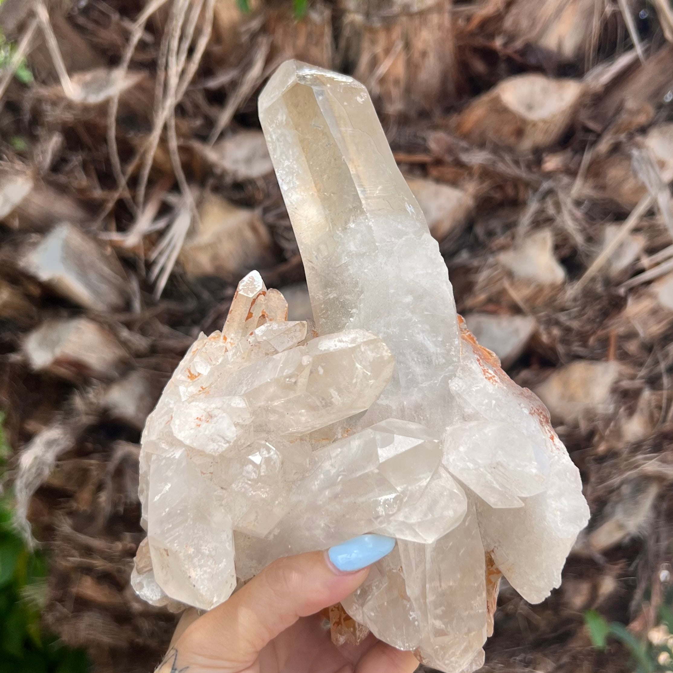 Raw Clear Quartz Natural Cluster of Points