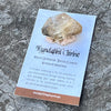 Kundalini Citrine ~ Specialty Boxed Crystal