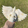 Caribbean Calcite Winged Skull Carving