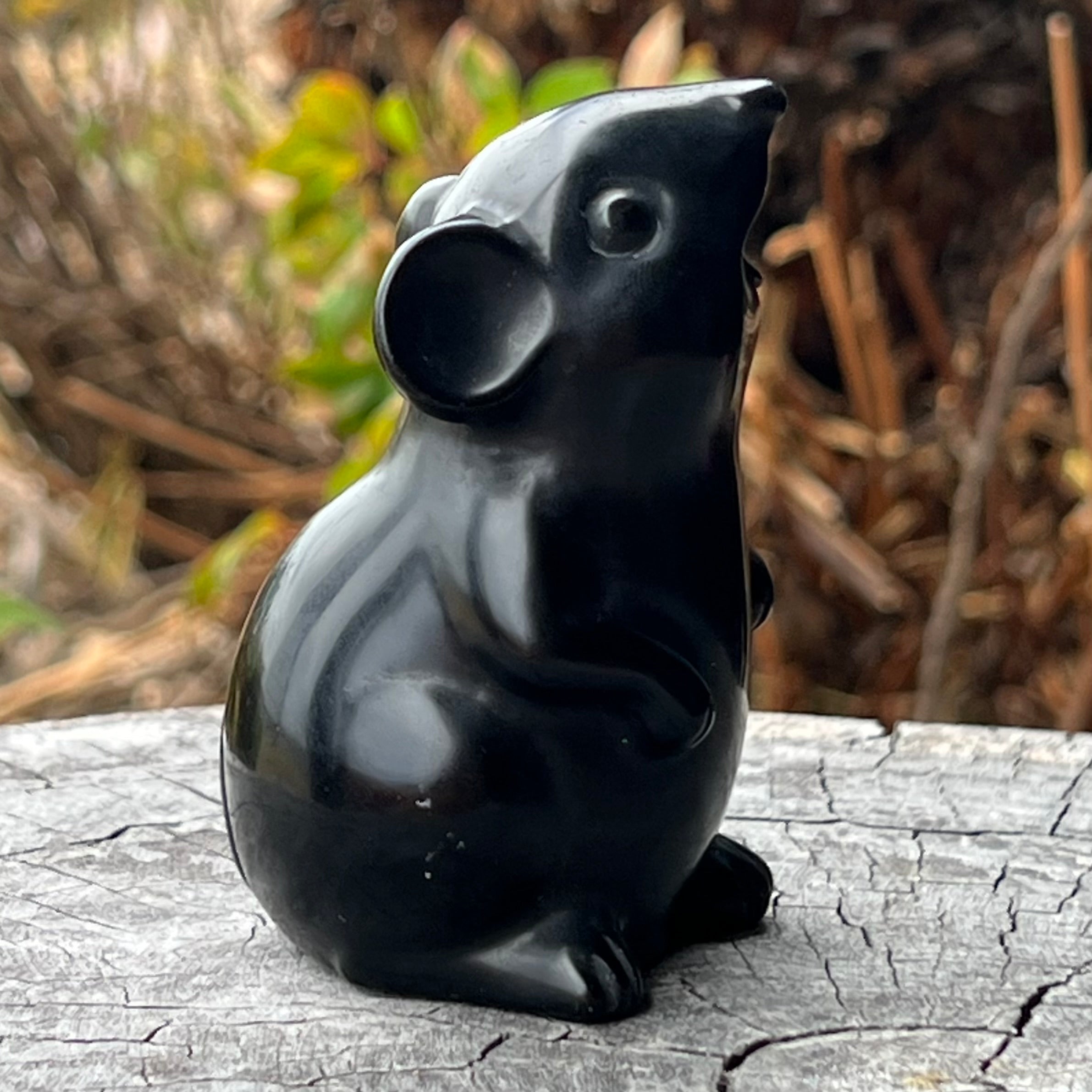 Black Obsidian Mouse