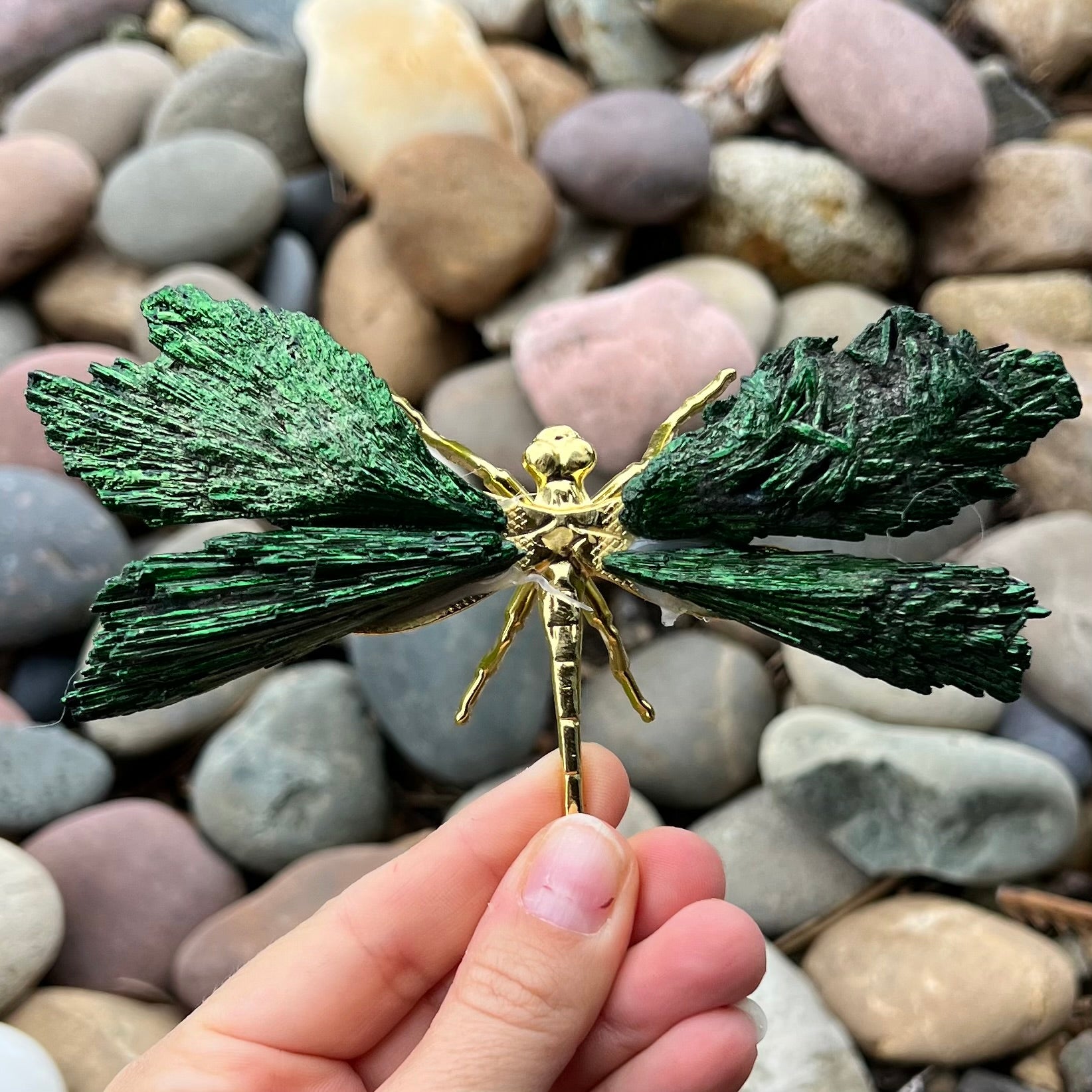 Dragonfly ~ Kyanite Electroplate ~ Emerald ~ Large