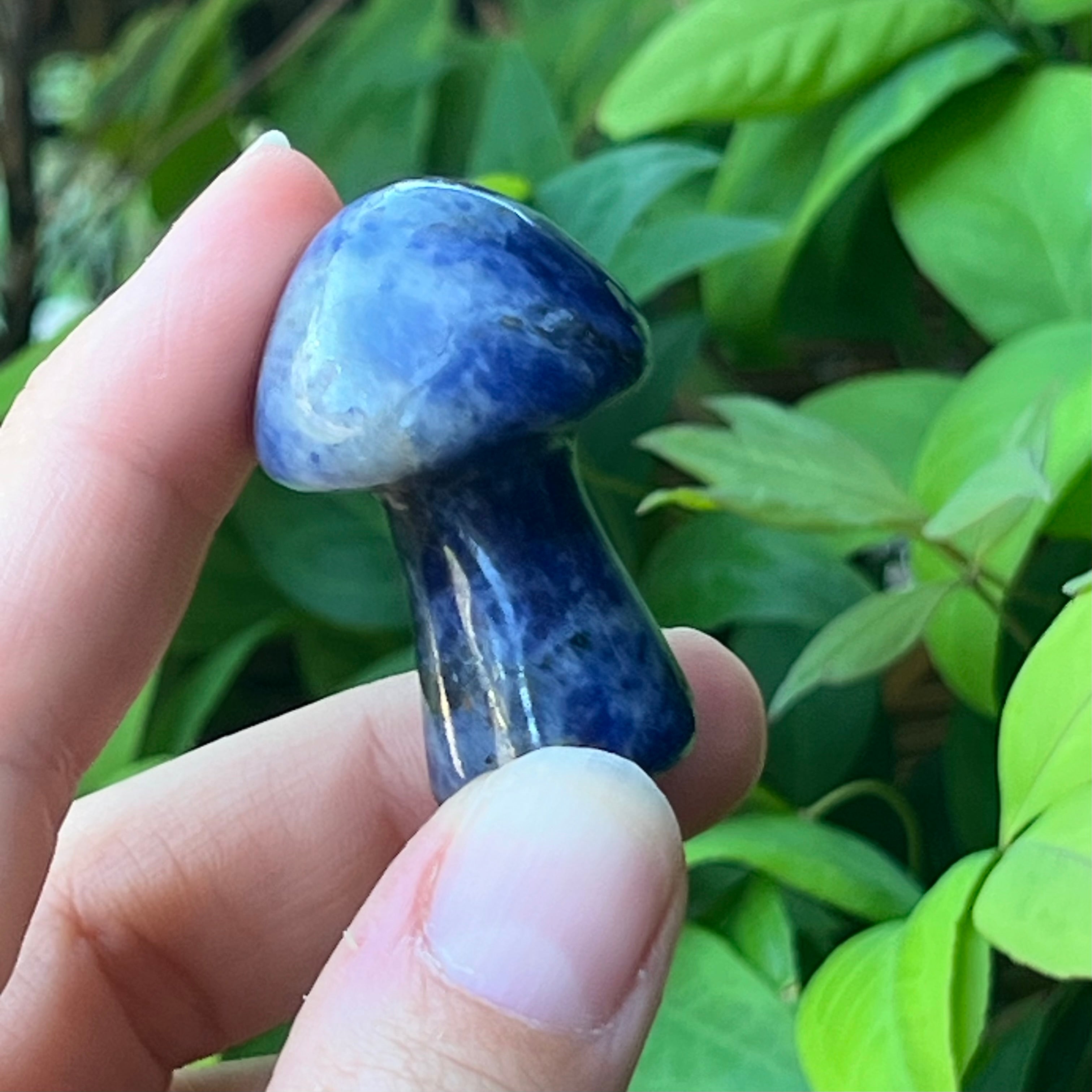 Sodalite Mushroom