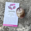 Ametrine  ~ Specialty Boxed Crystal ~ 11