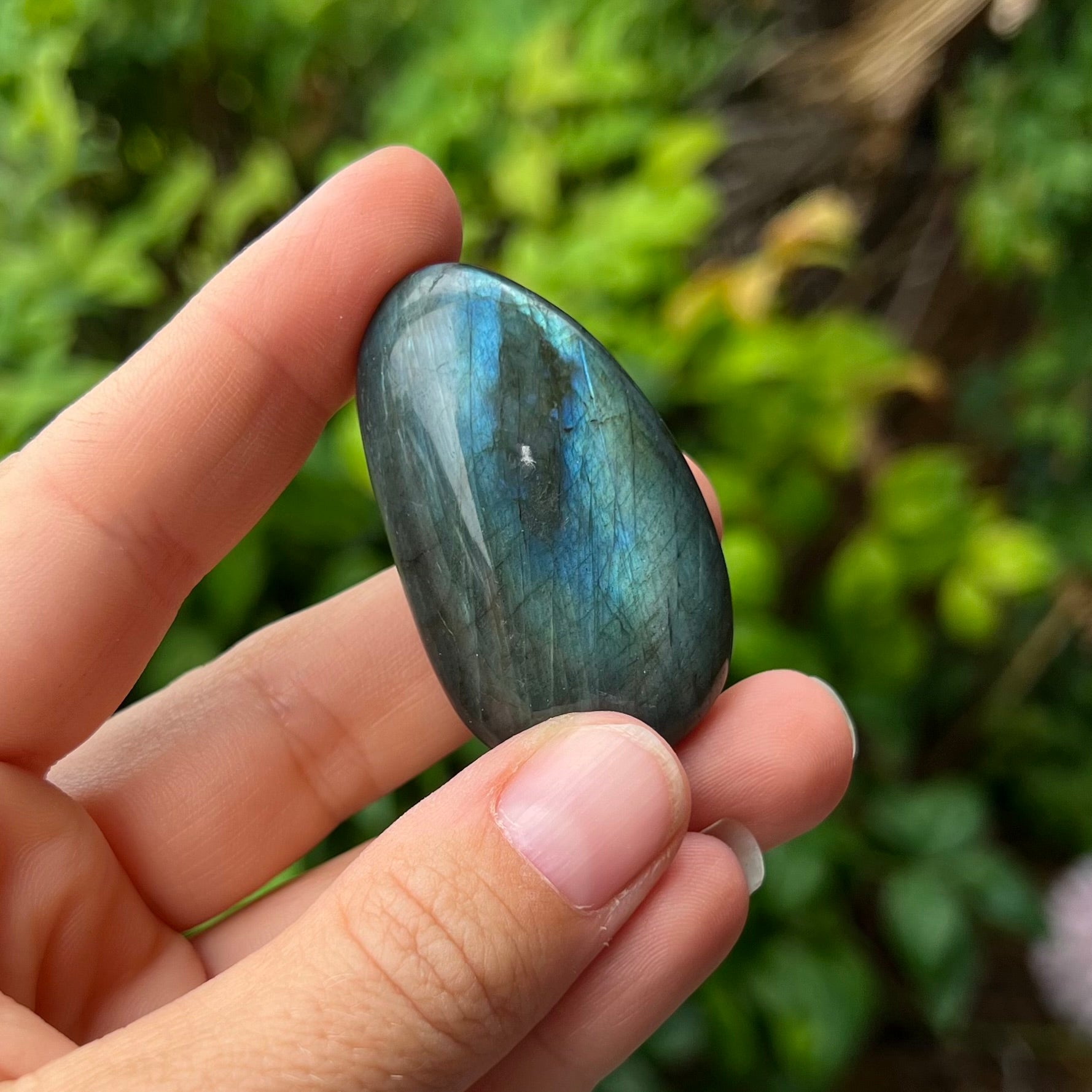 Labradorite ~ Specialty Boxed Crystal ~ 1