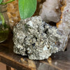 Pyrite Raw Natural Specimen