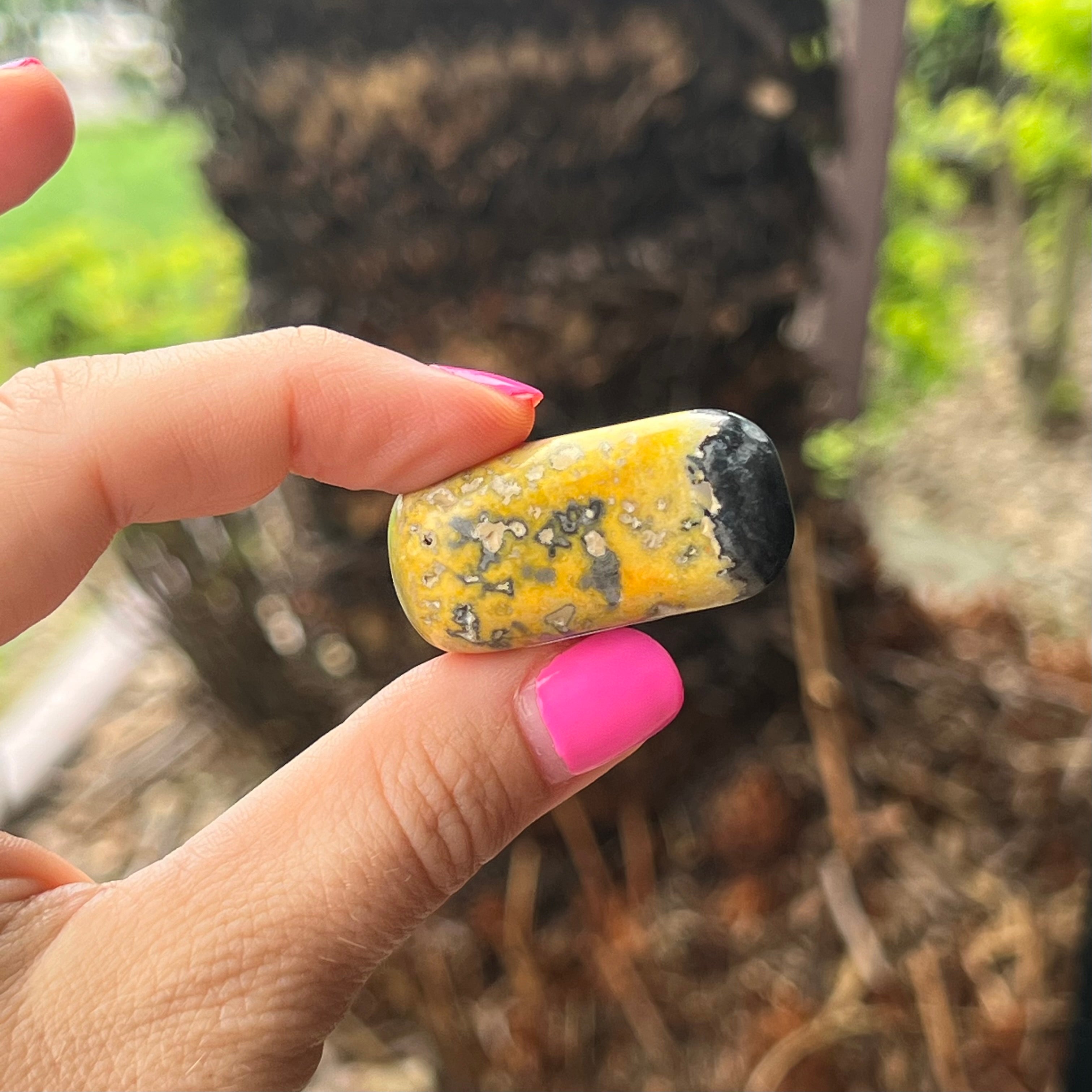 Bumble Bee ~ Specialty Boxed Crystal