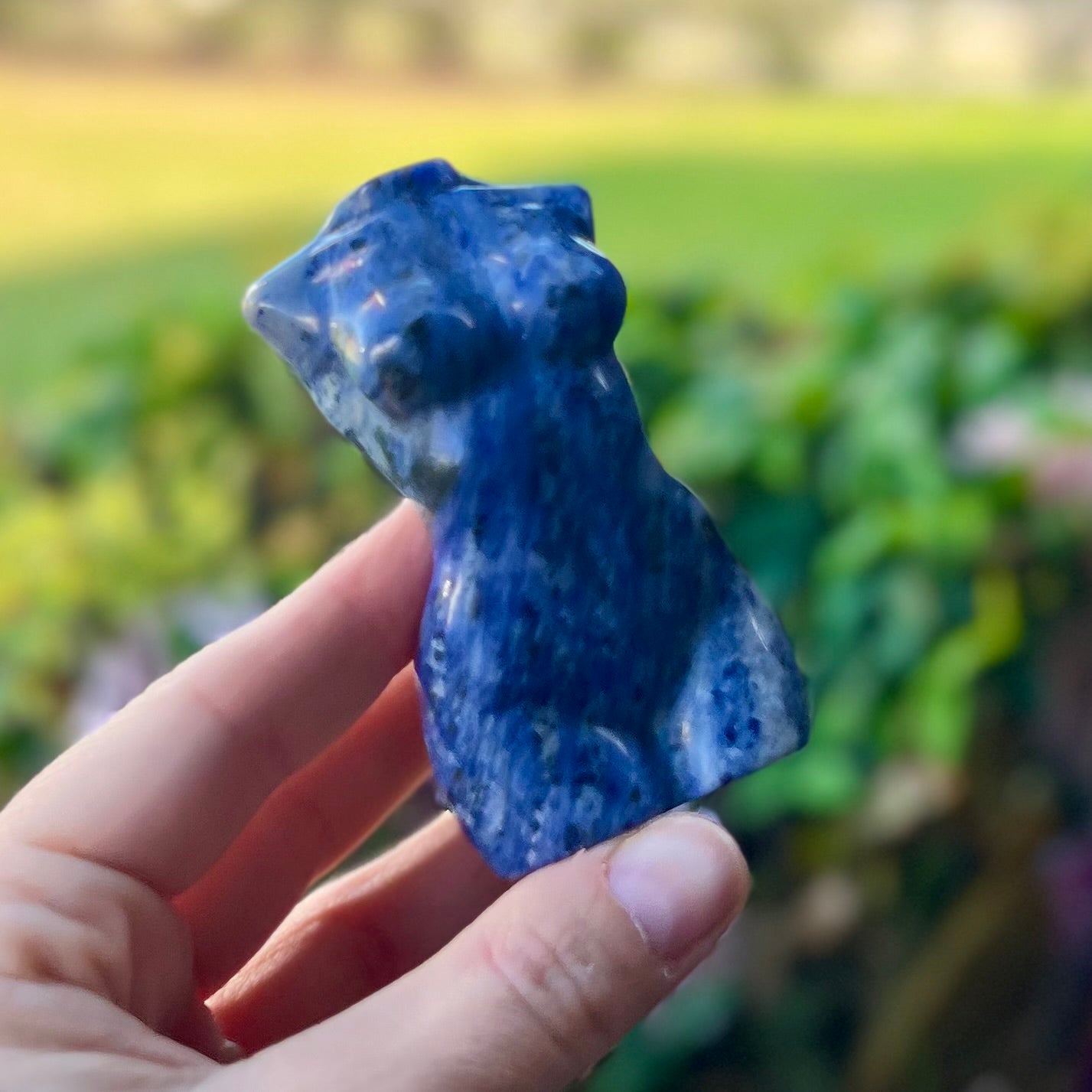 Sodalite Woman Lady Body Carving ~ 1