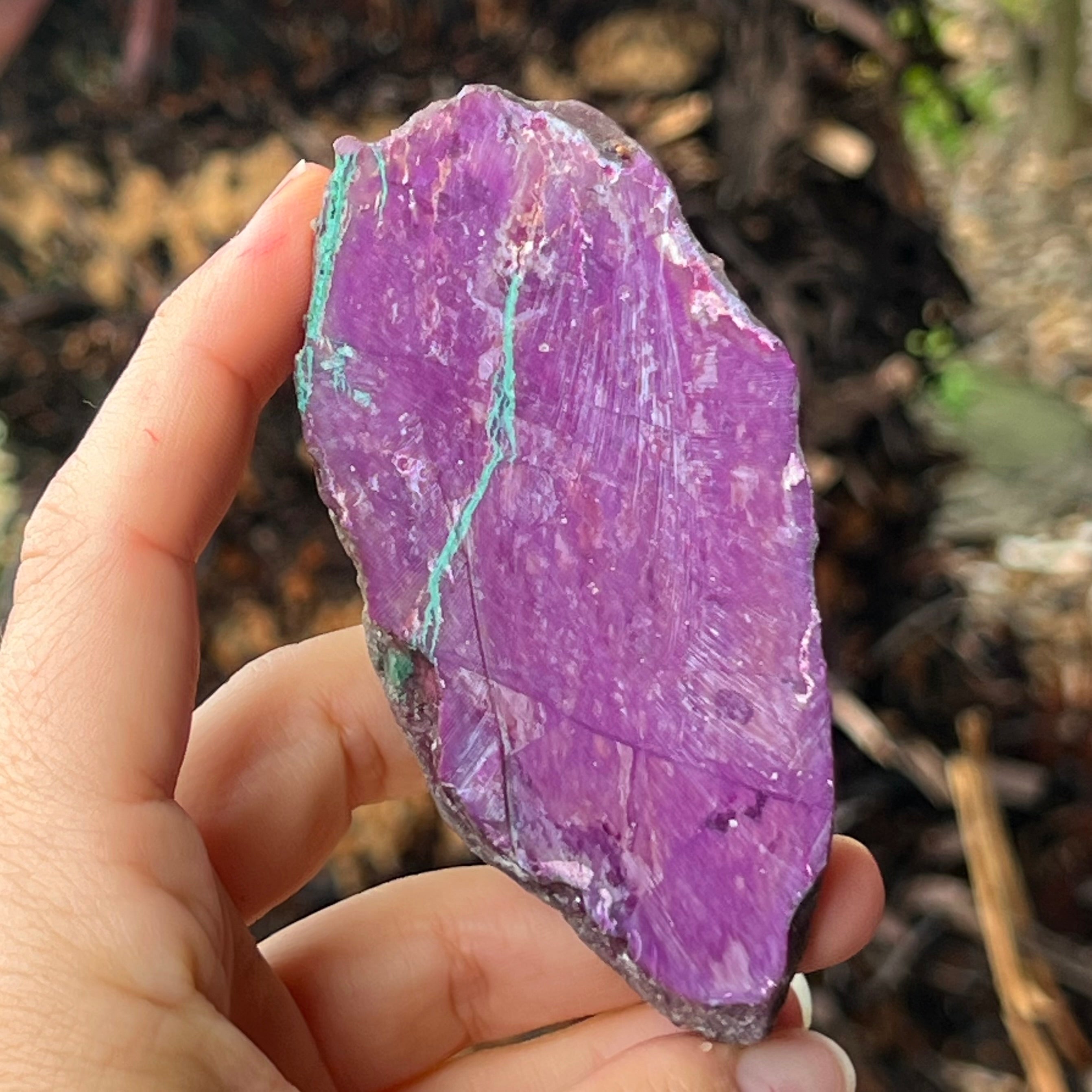 Purpurite Slice