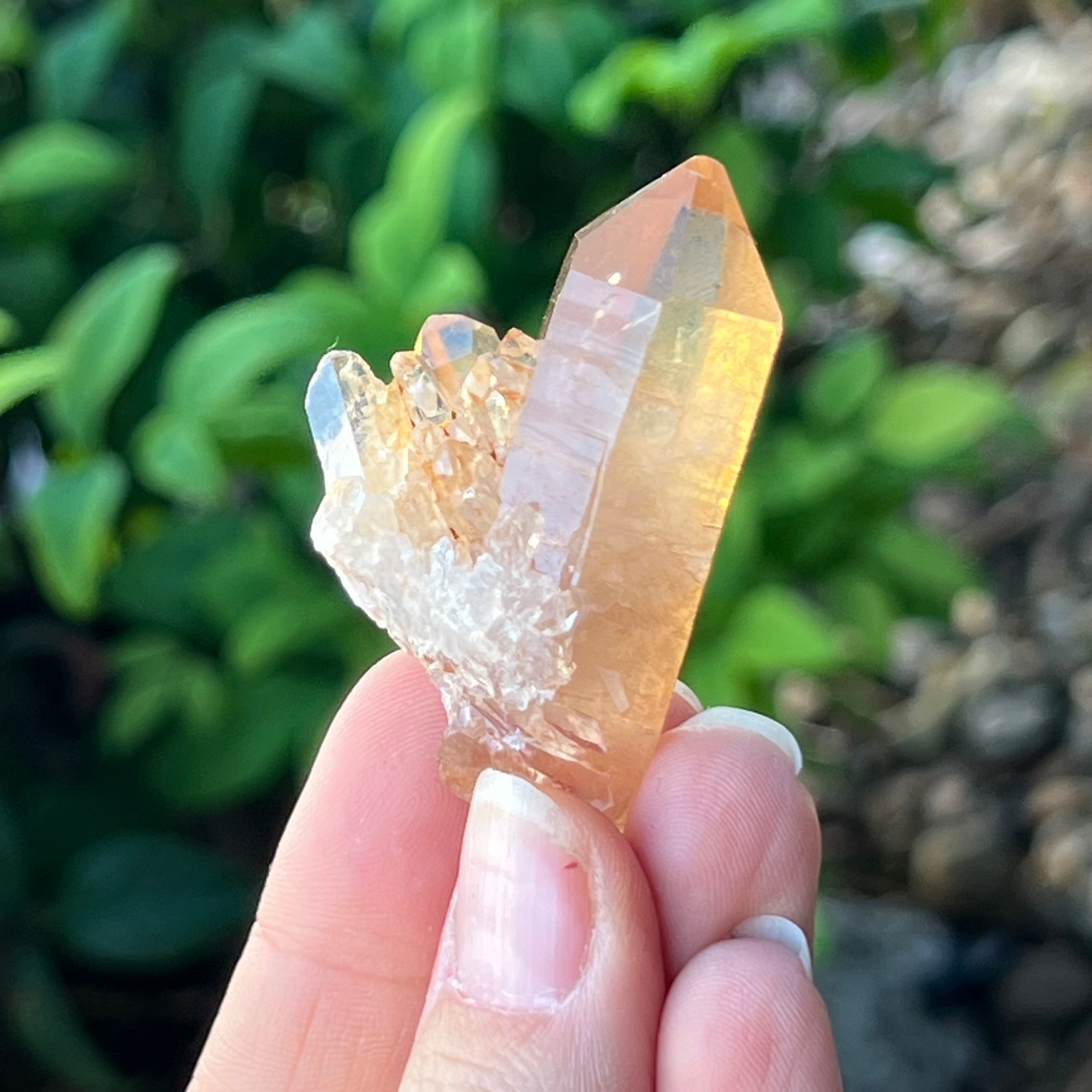 Tangerine Quartz ~ Specialty Boxed Crystal