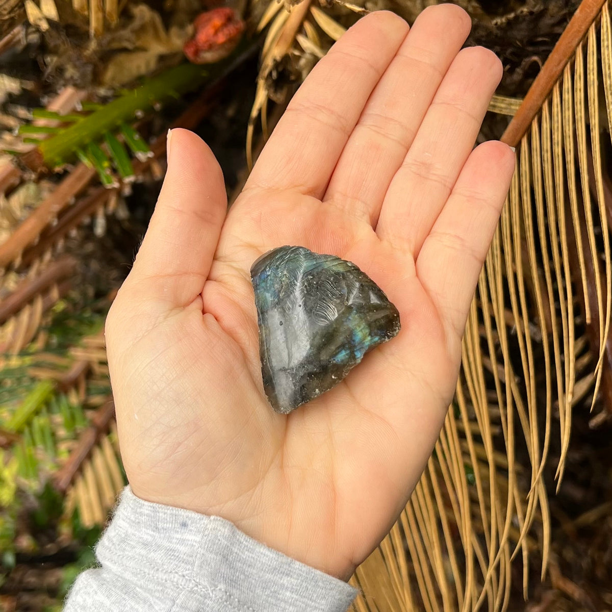 Labradorite ~ Specialty Boxed Crystal