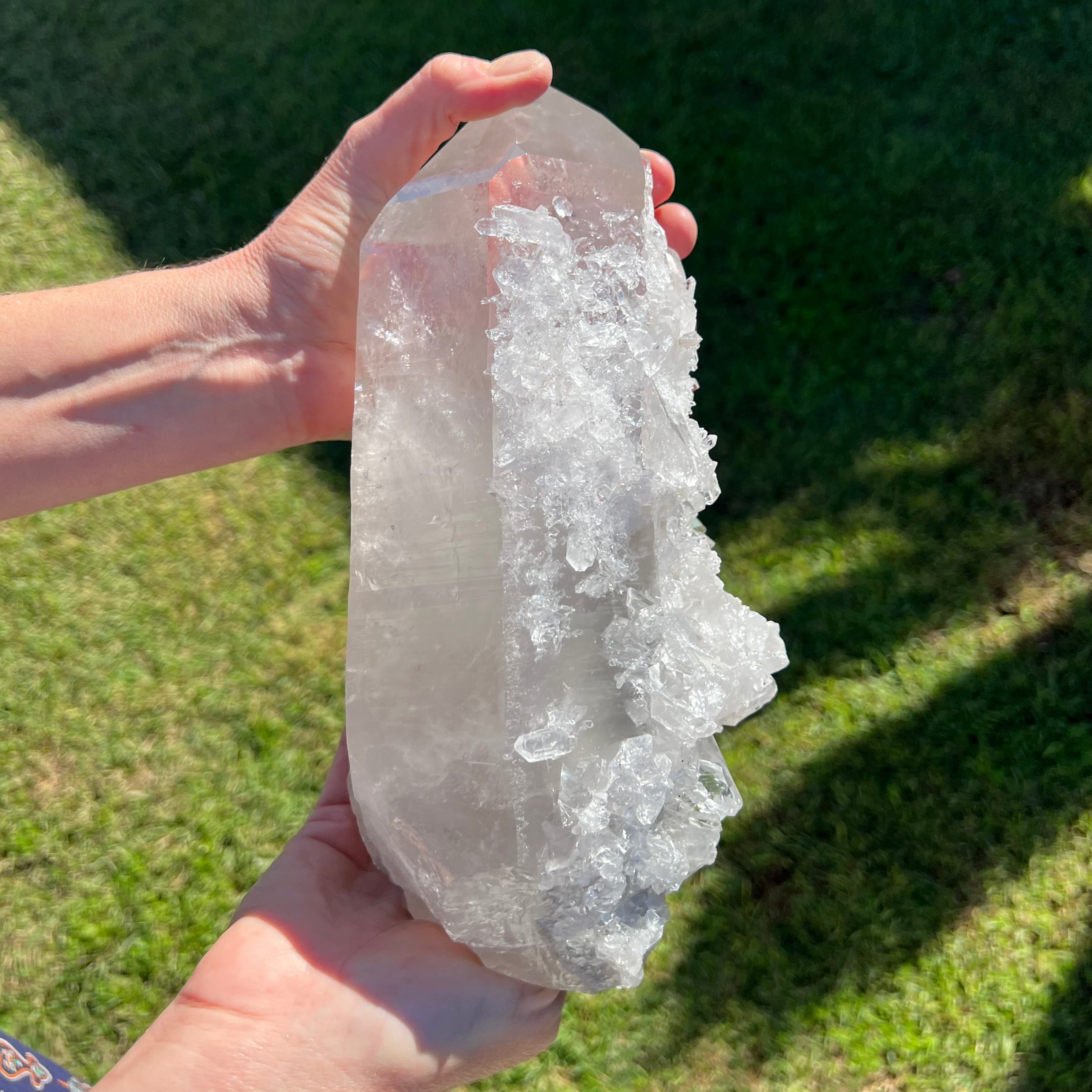 Barnacle Quartz Cluster
