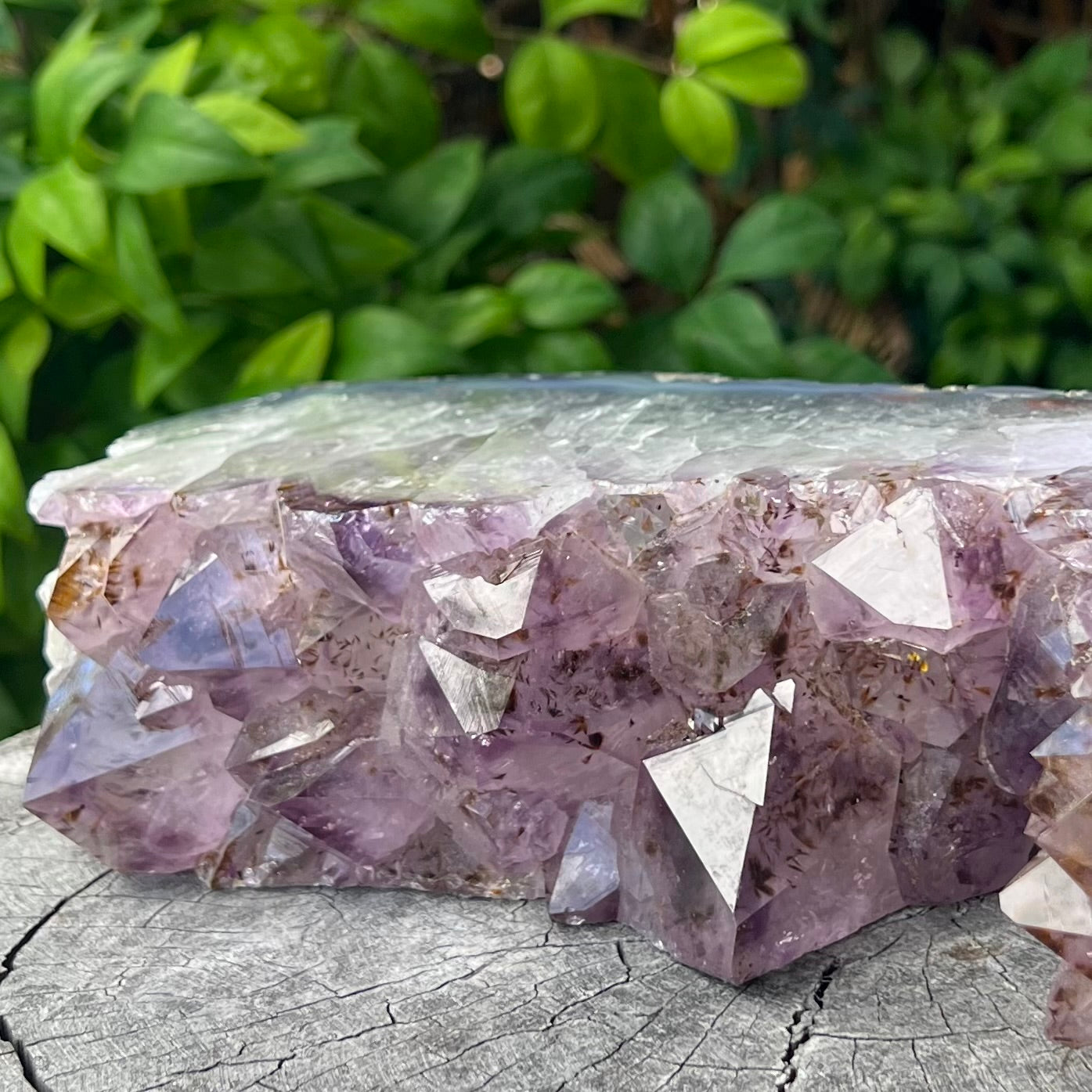Amethyst Cluster
