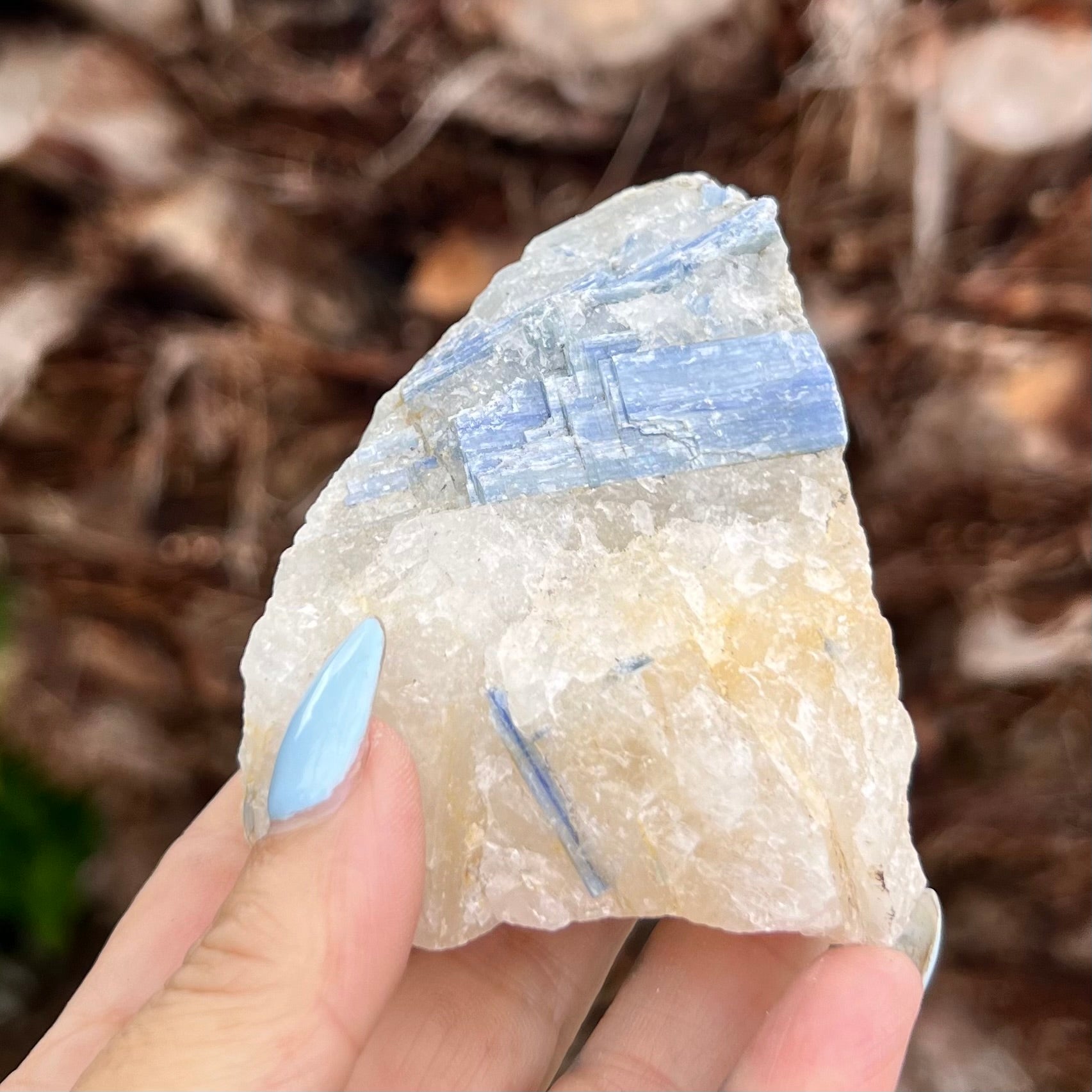 Natural Blue Kyanite in Quartz