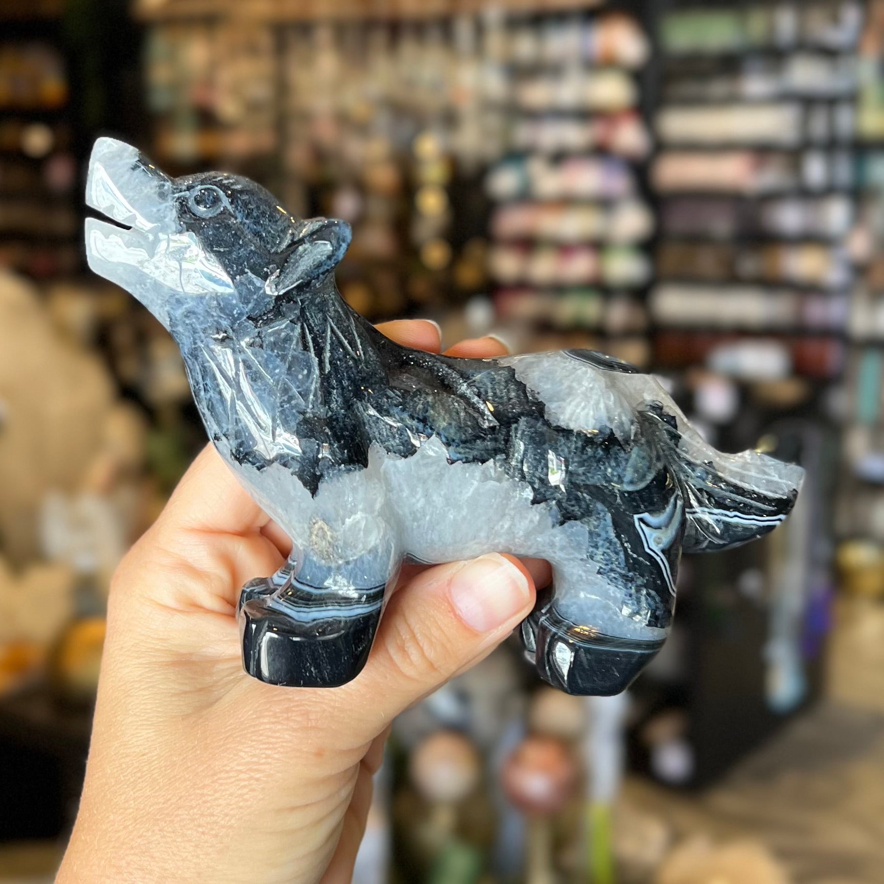 Black Agate ~ Wolf Carving ~ Medium