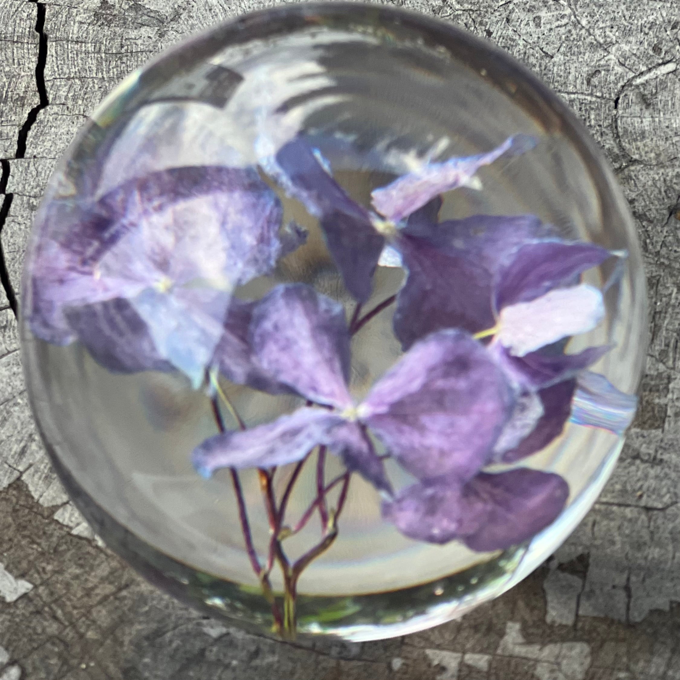 Purple Hydrangea Everlasting Flower Sphere
