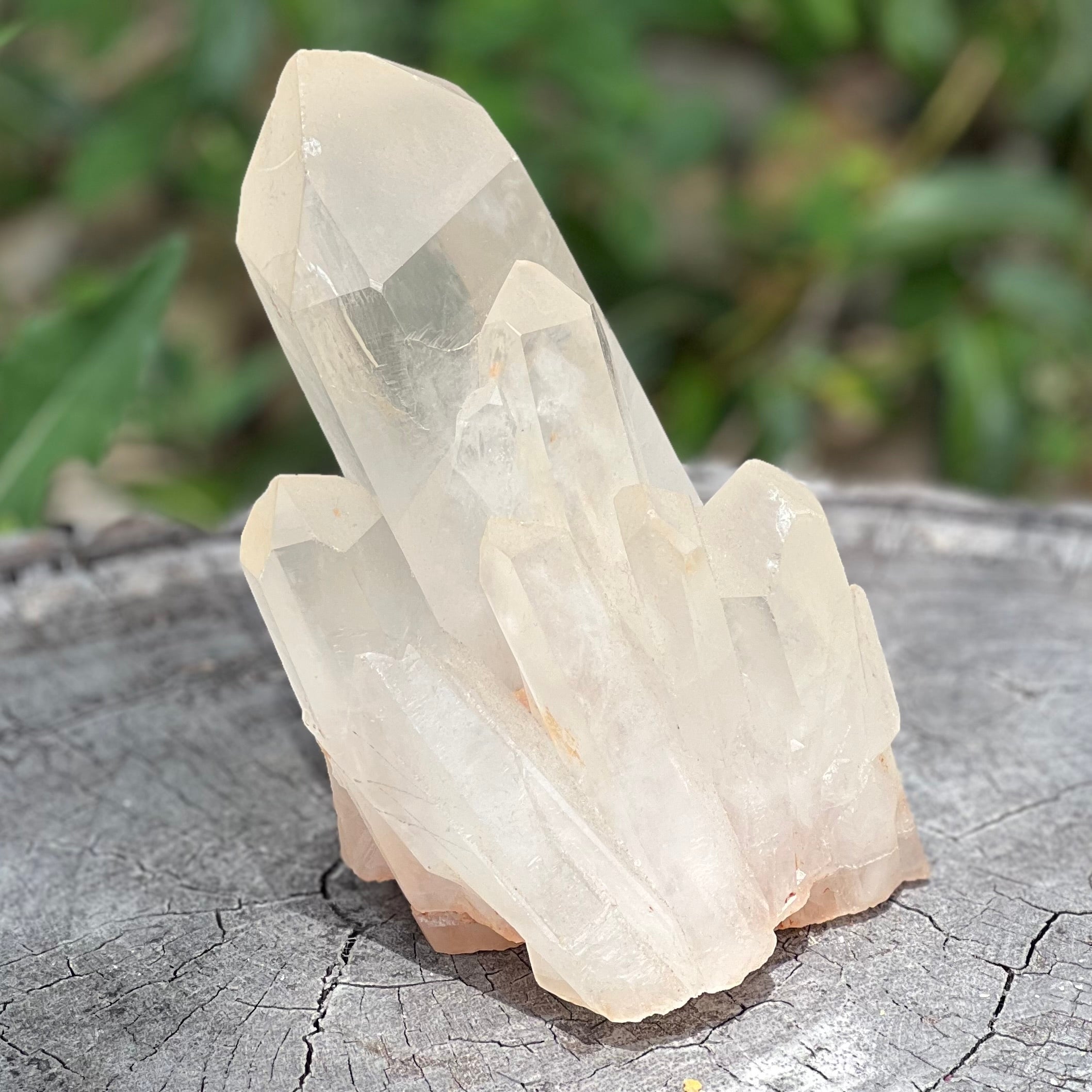 Raw Clear Quartz Natural Cluster of Points