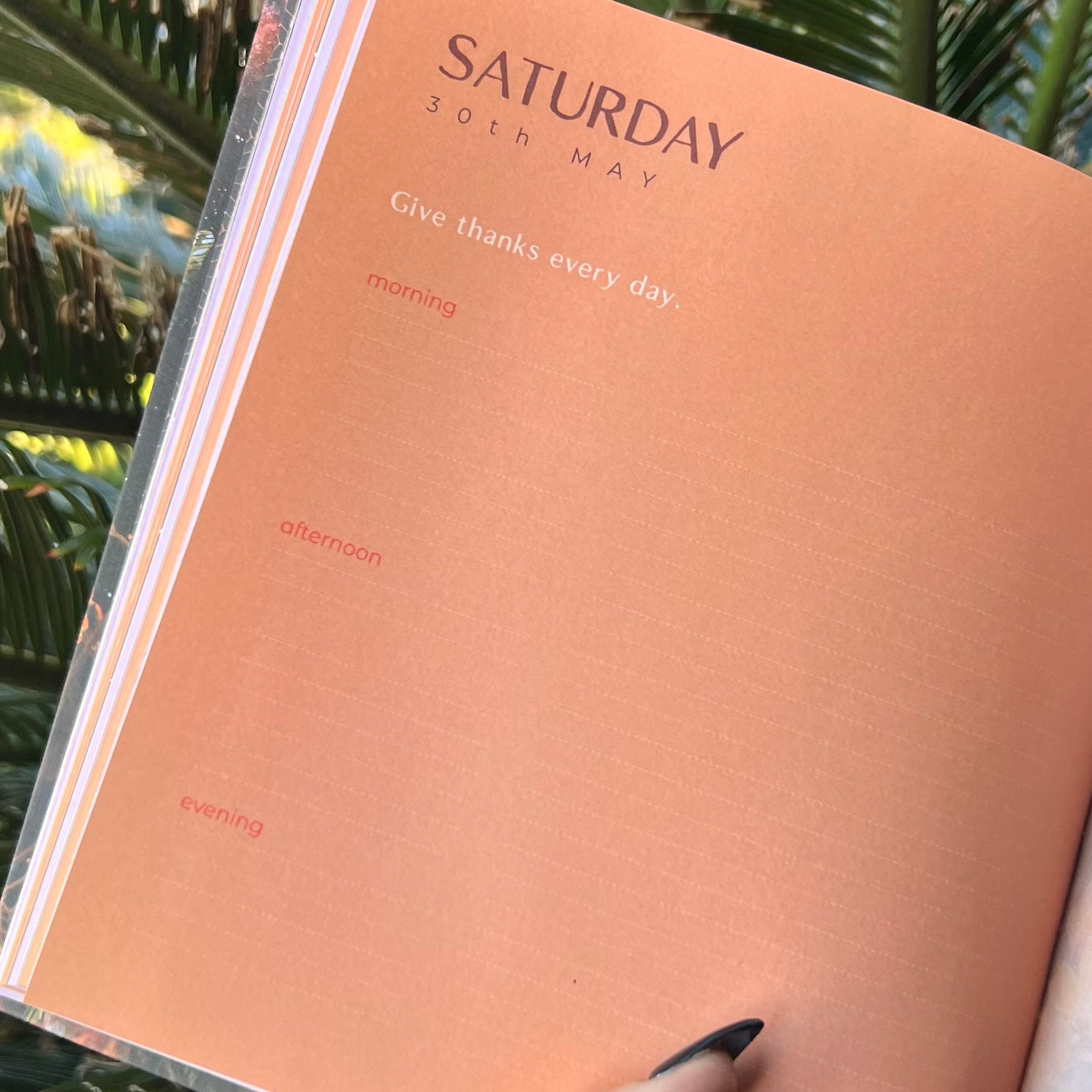 2026 ~ Gratitude Diary