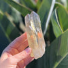 Citrine ~ Natural Cluster