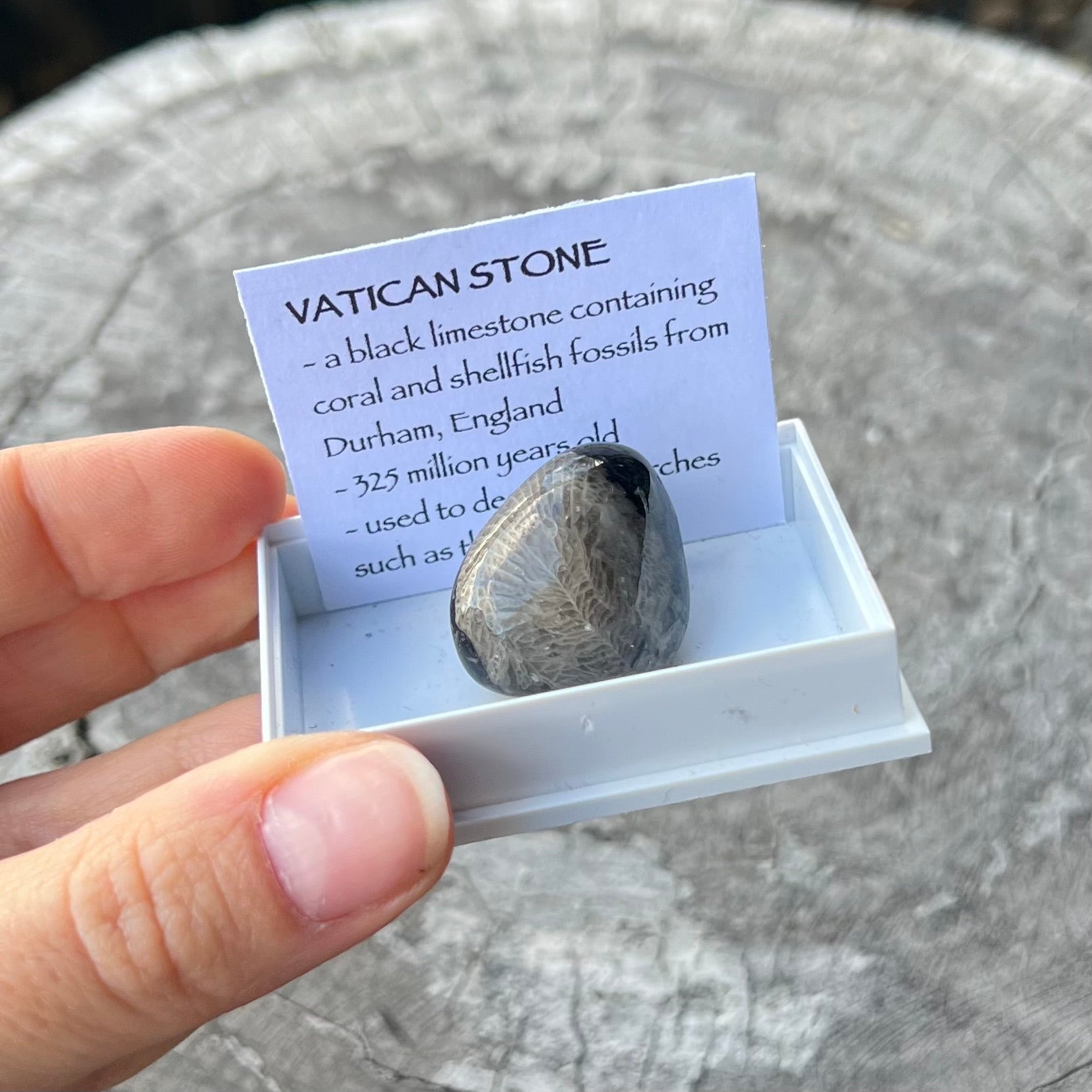 Vatican Stone ~ Specialty Boxed Crystal