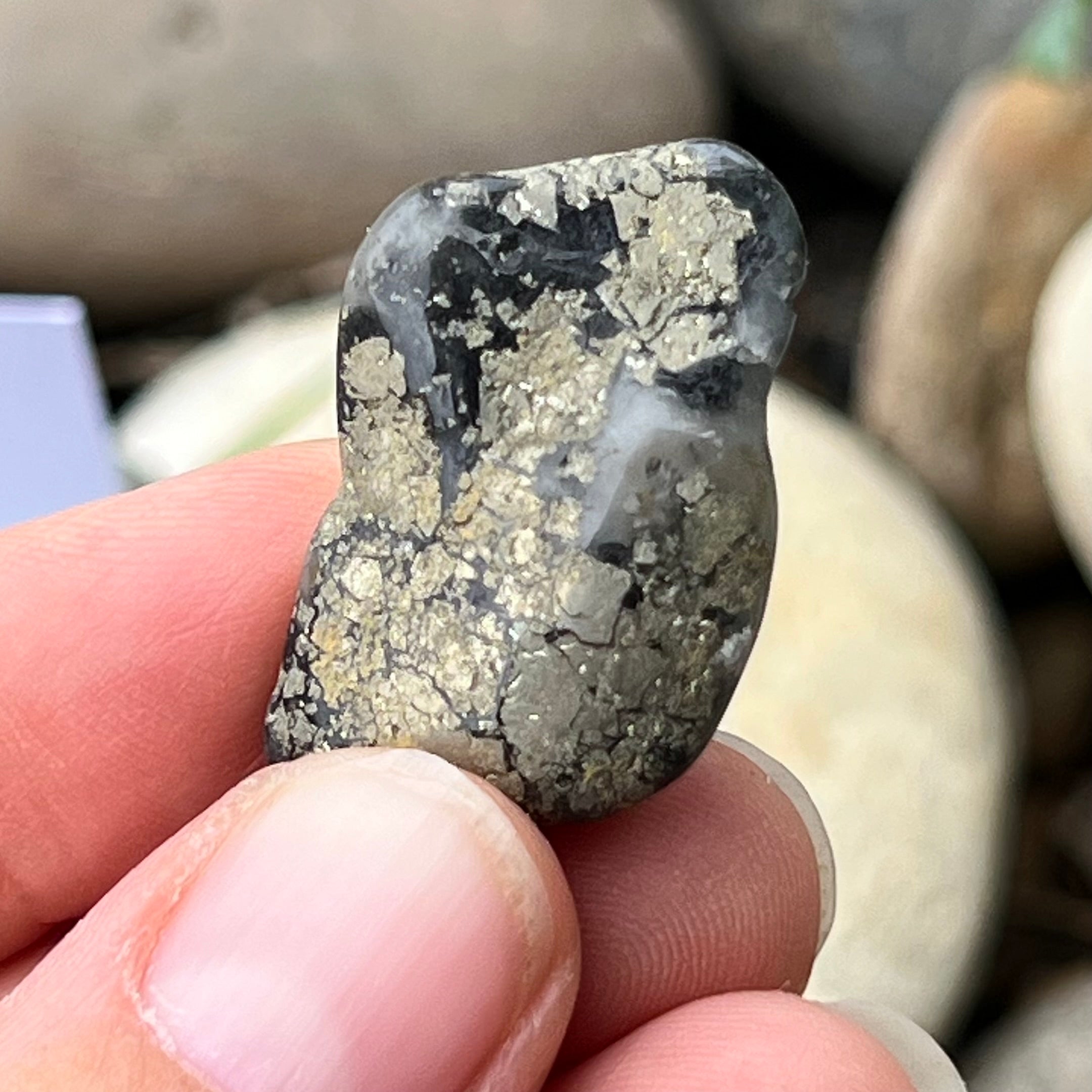 Healers Gold Specimen ~ Specialty Boxed Crystal