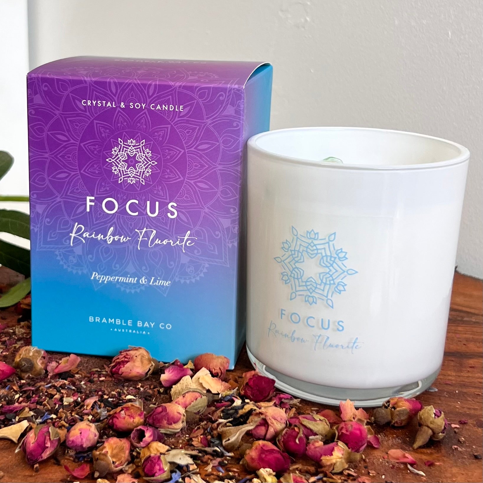 Boho Crystal Focus Candle ~
Rainbow Fluorite ~ 
Peppermint & Lime