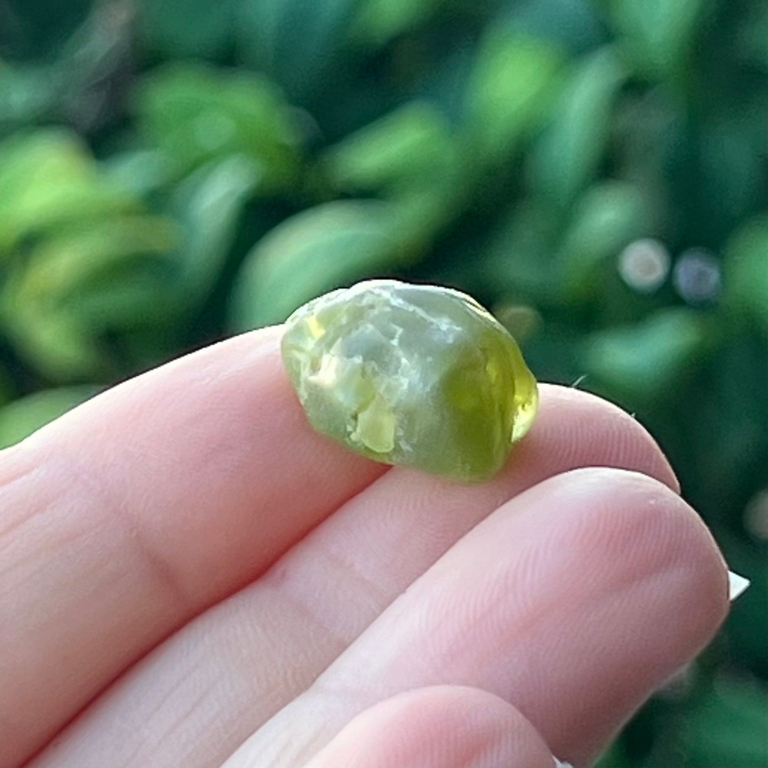 Peridot ~ Specialty Boxed Crystal