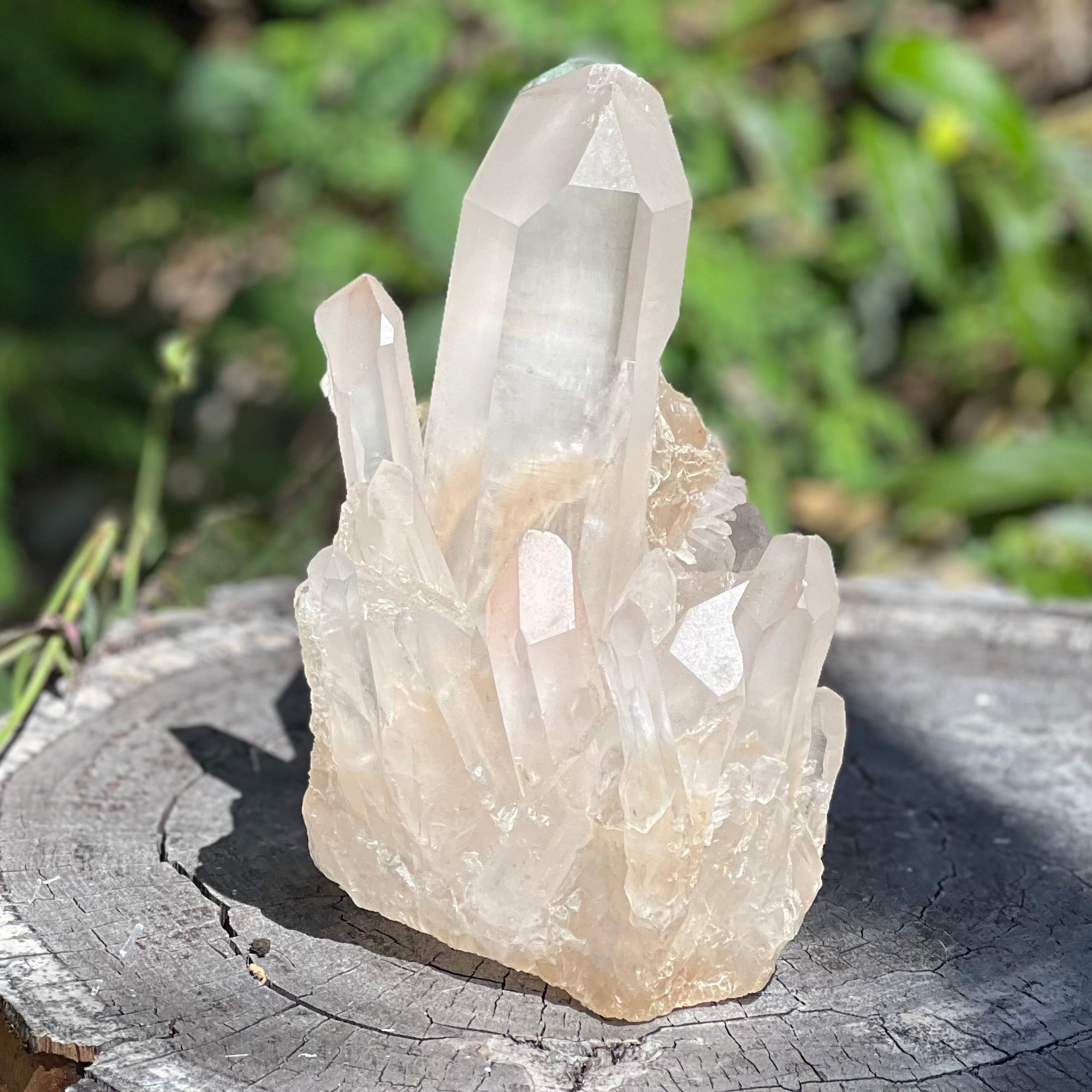 Raw Clear Quartz Natural Cluster of Points