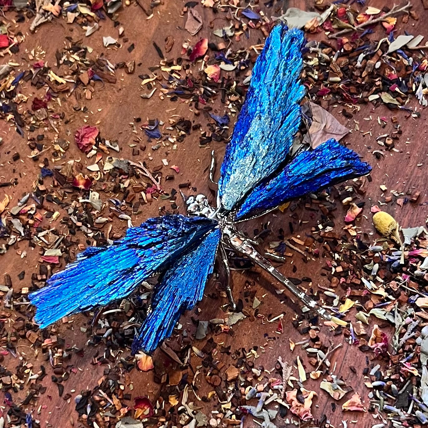 Dragon Fly ~ Blue Kyanite Electroplate