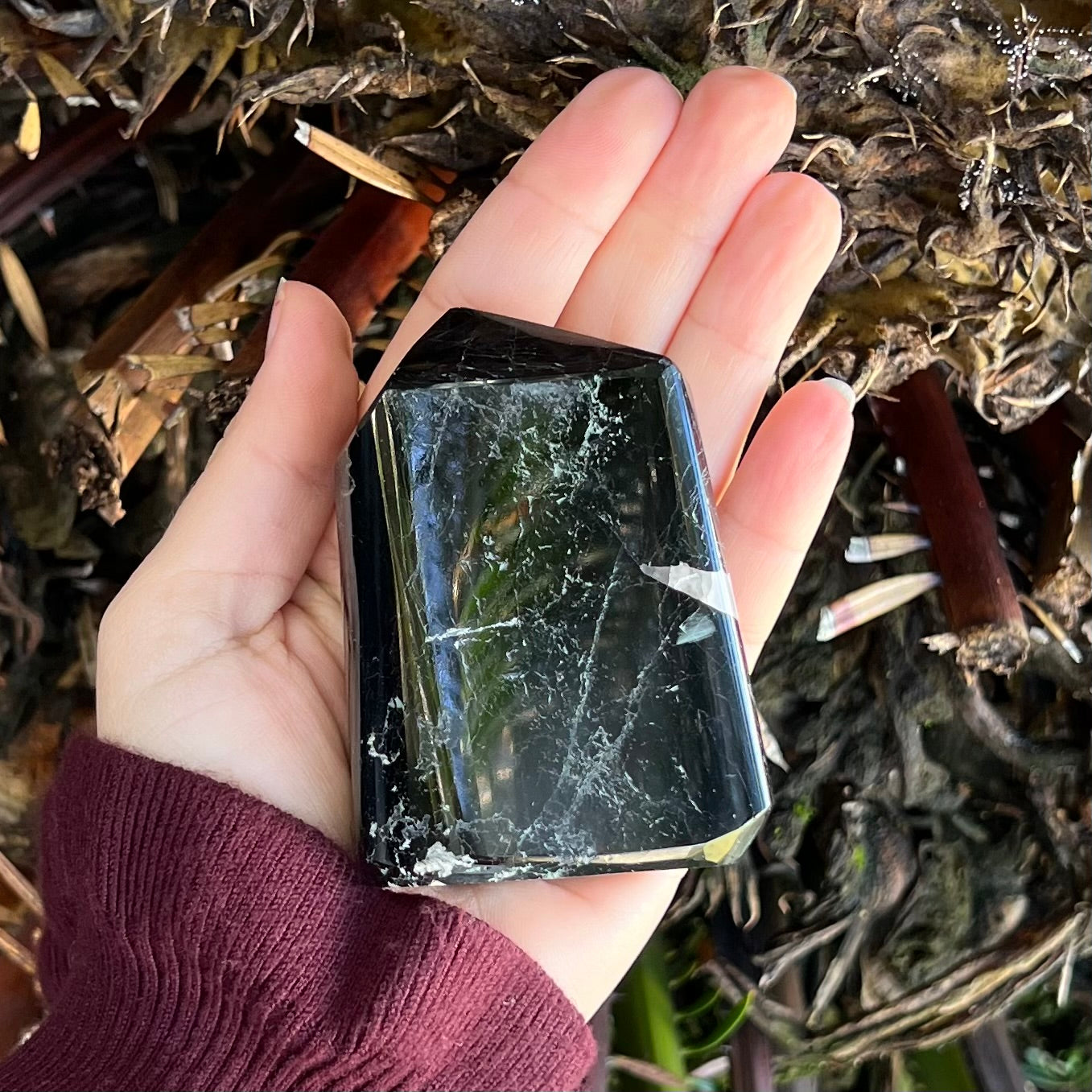 Black Tourmaline Freeform