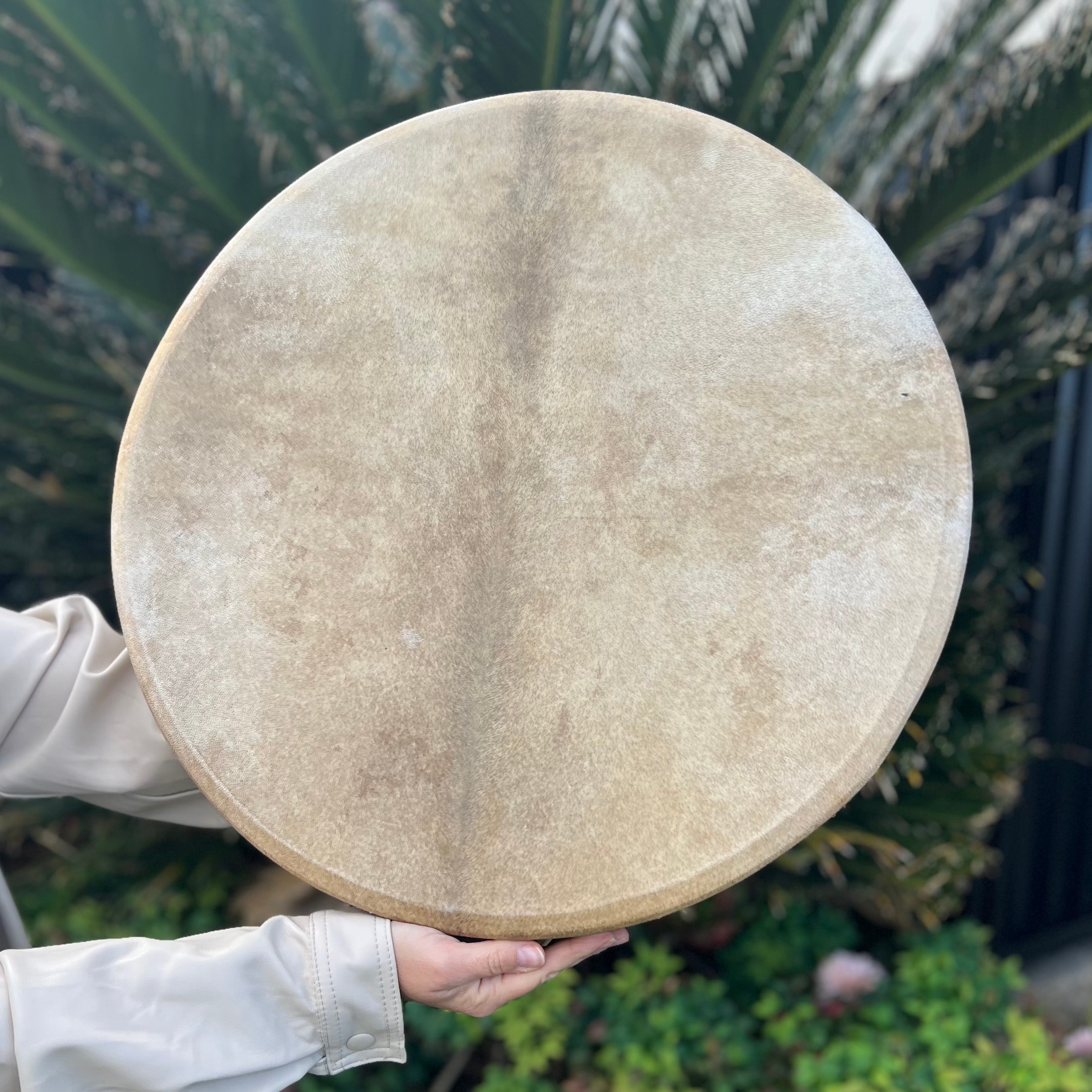 Medicine Drum Large - Goat Skin