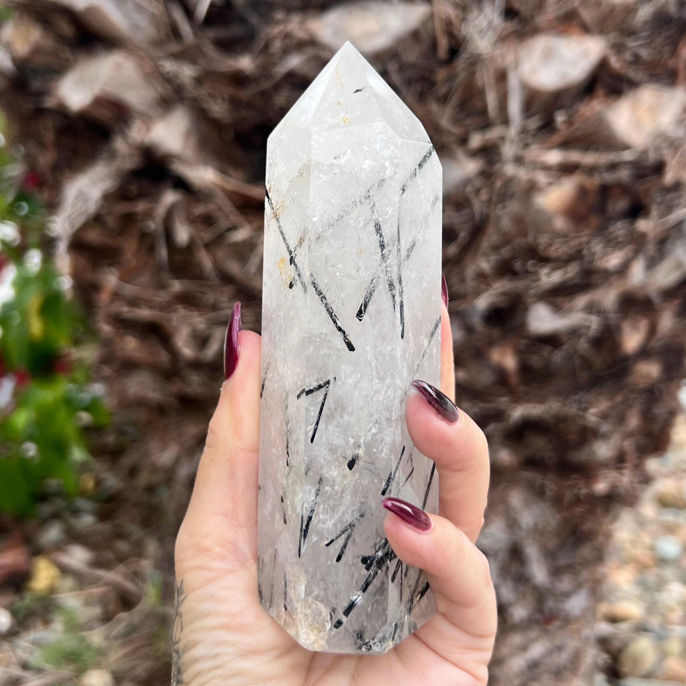 Black Tourmaline in Clear Protective Generator Quartz Tower